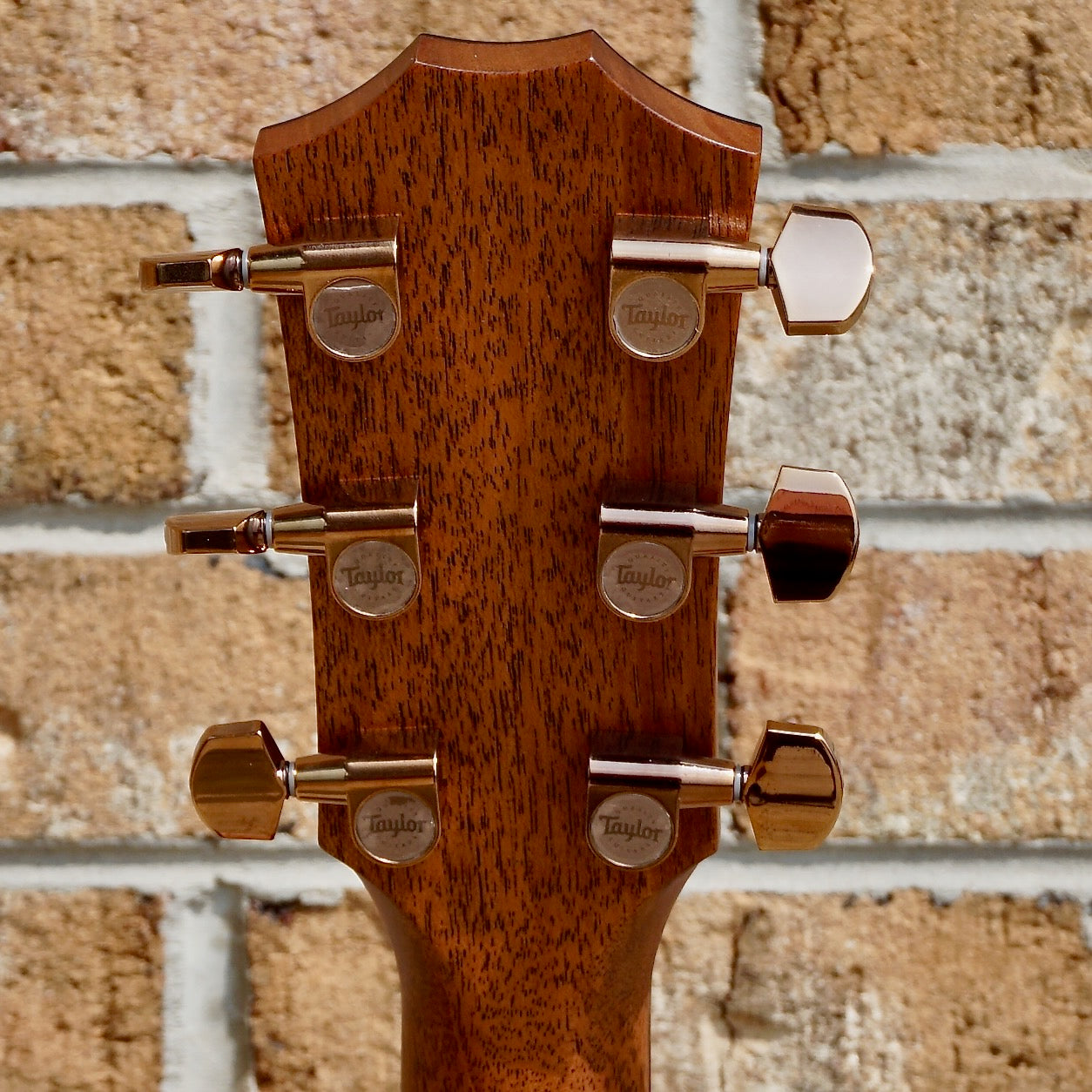 Taylor 724ce