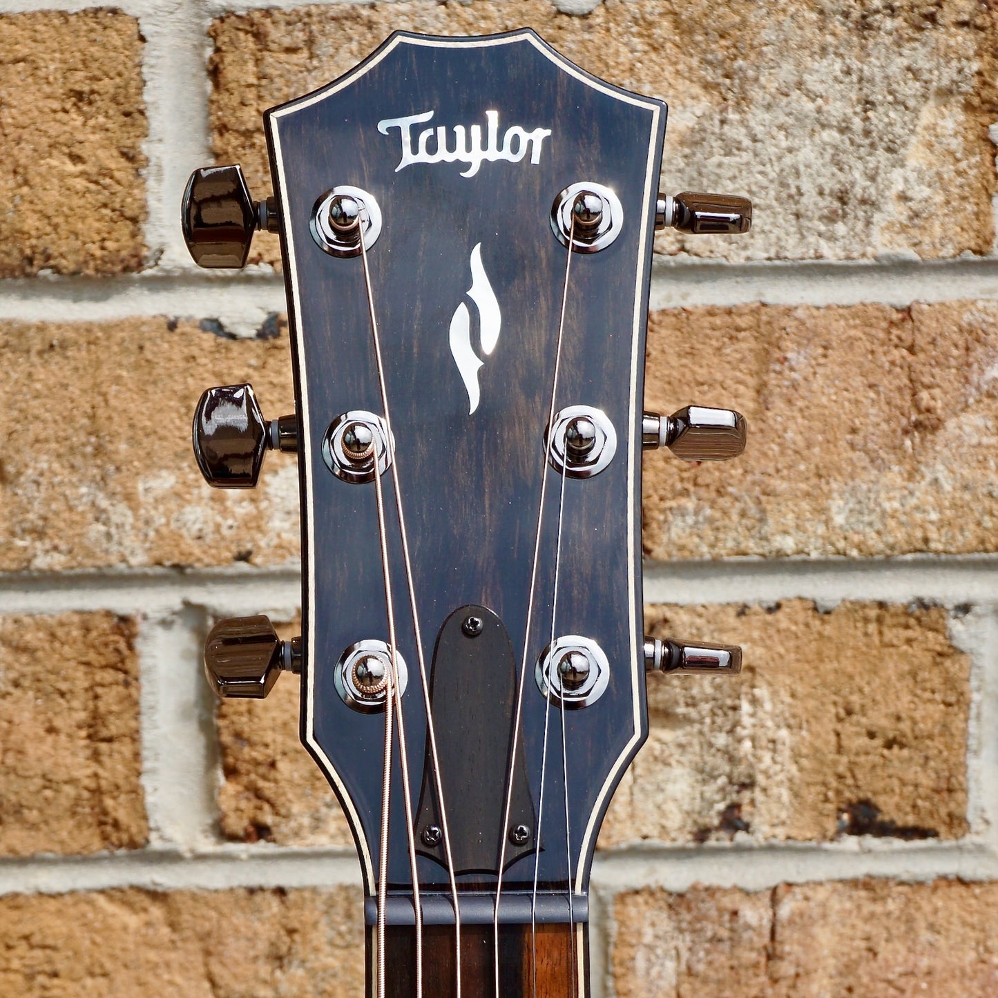 Taylor 814ce