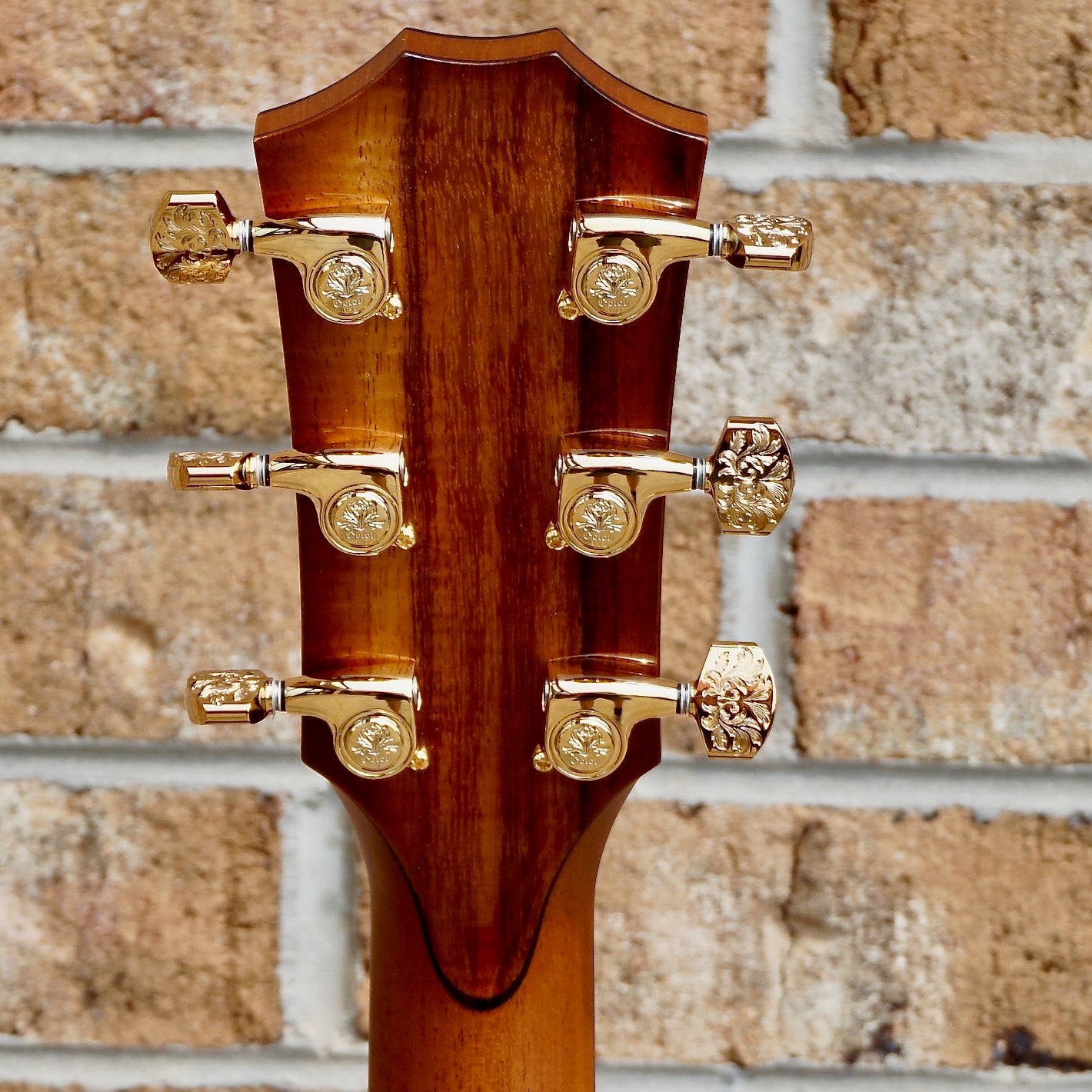 Taylor C14ce Custom #29 NAMM SHOW Sinker Redwood/Master Grade Hawaiin Koa