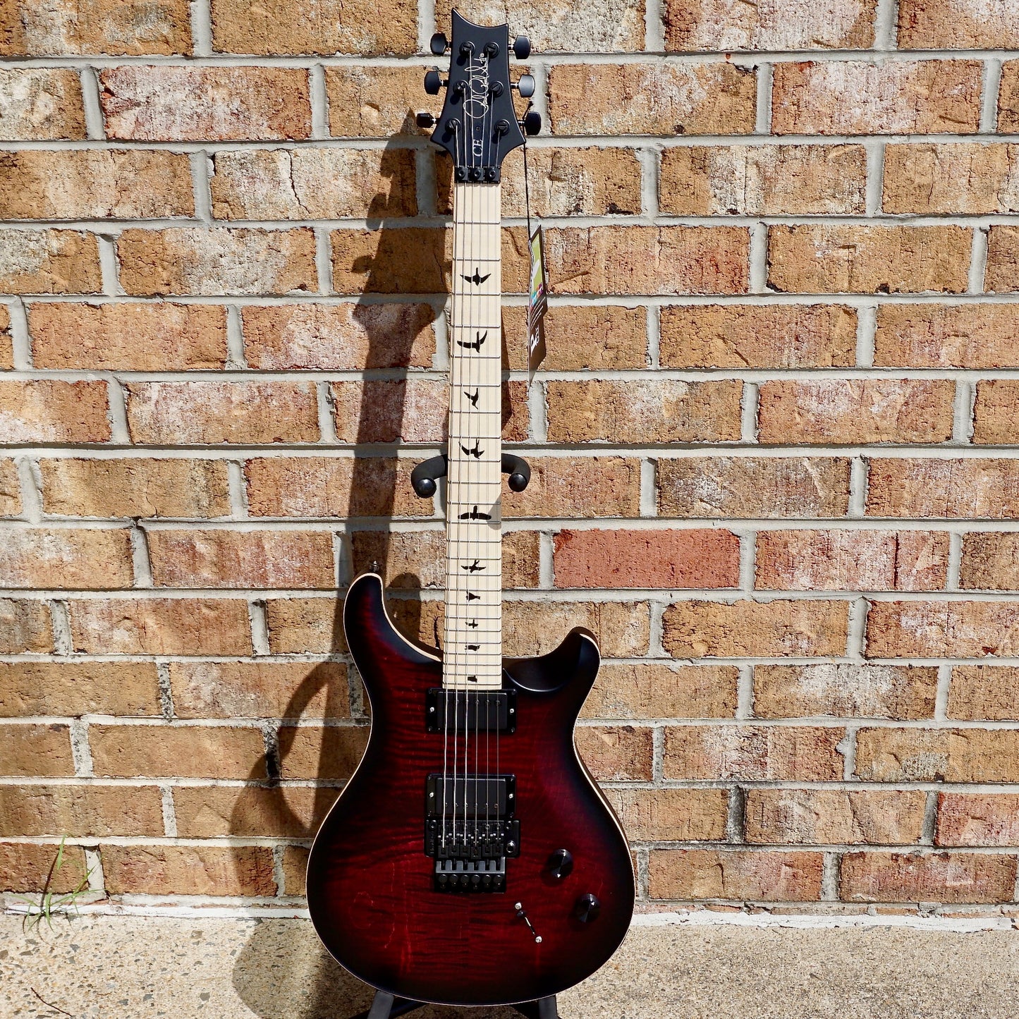 PRS DW CE 24 "Floyd" Waring Burst