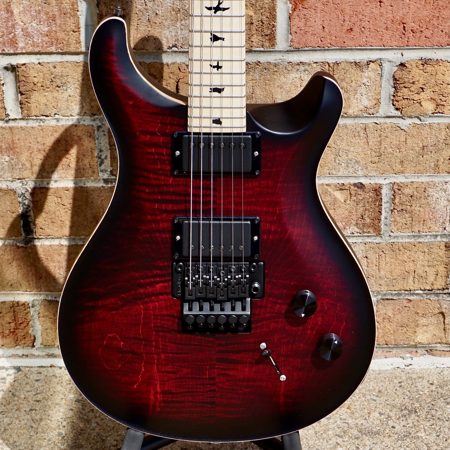 PRS DW CE 24 "Floyd" Waring Burst