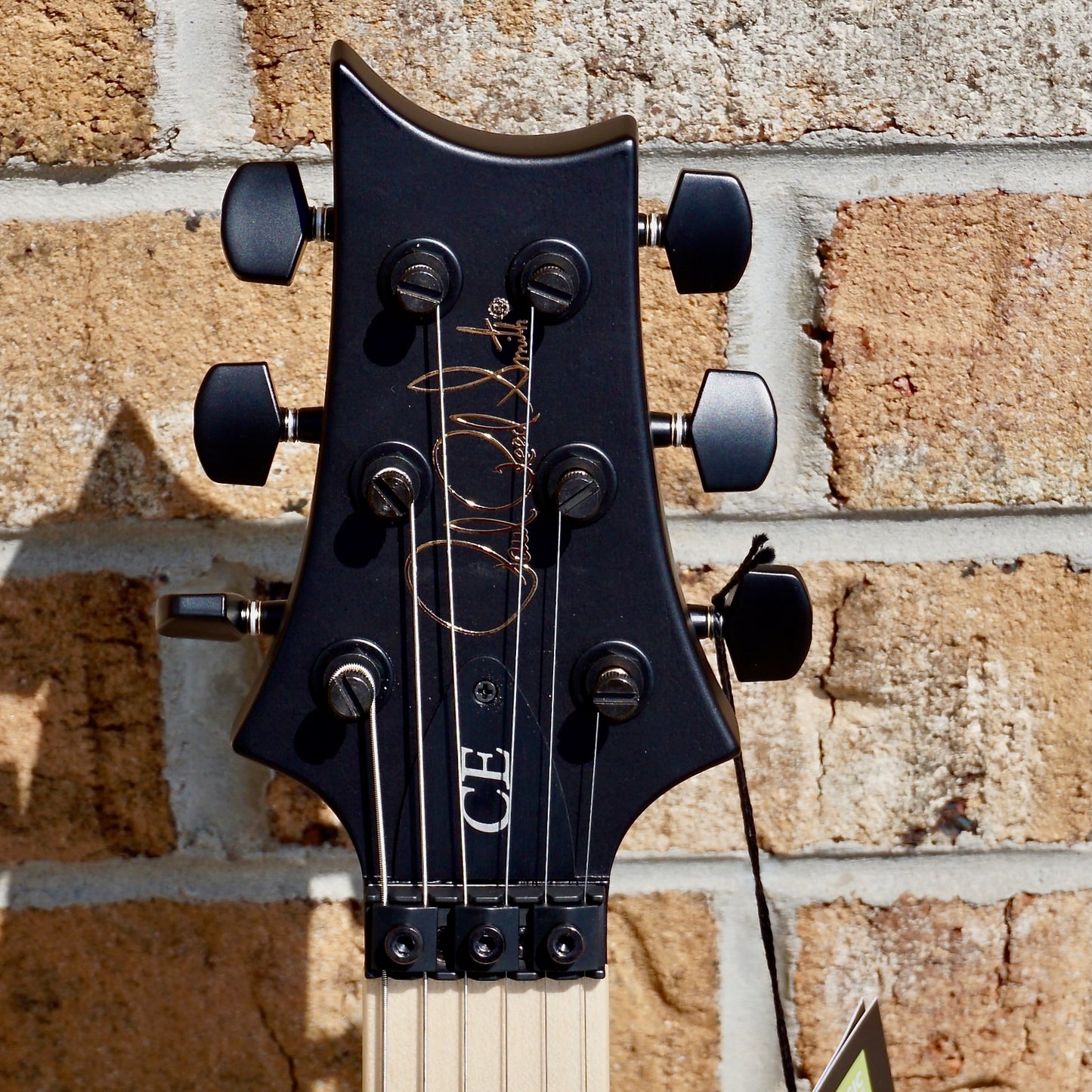 PRS DW CE 24 "Floyd" Waring Burst