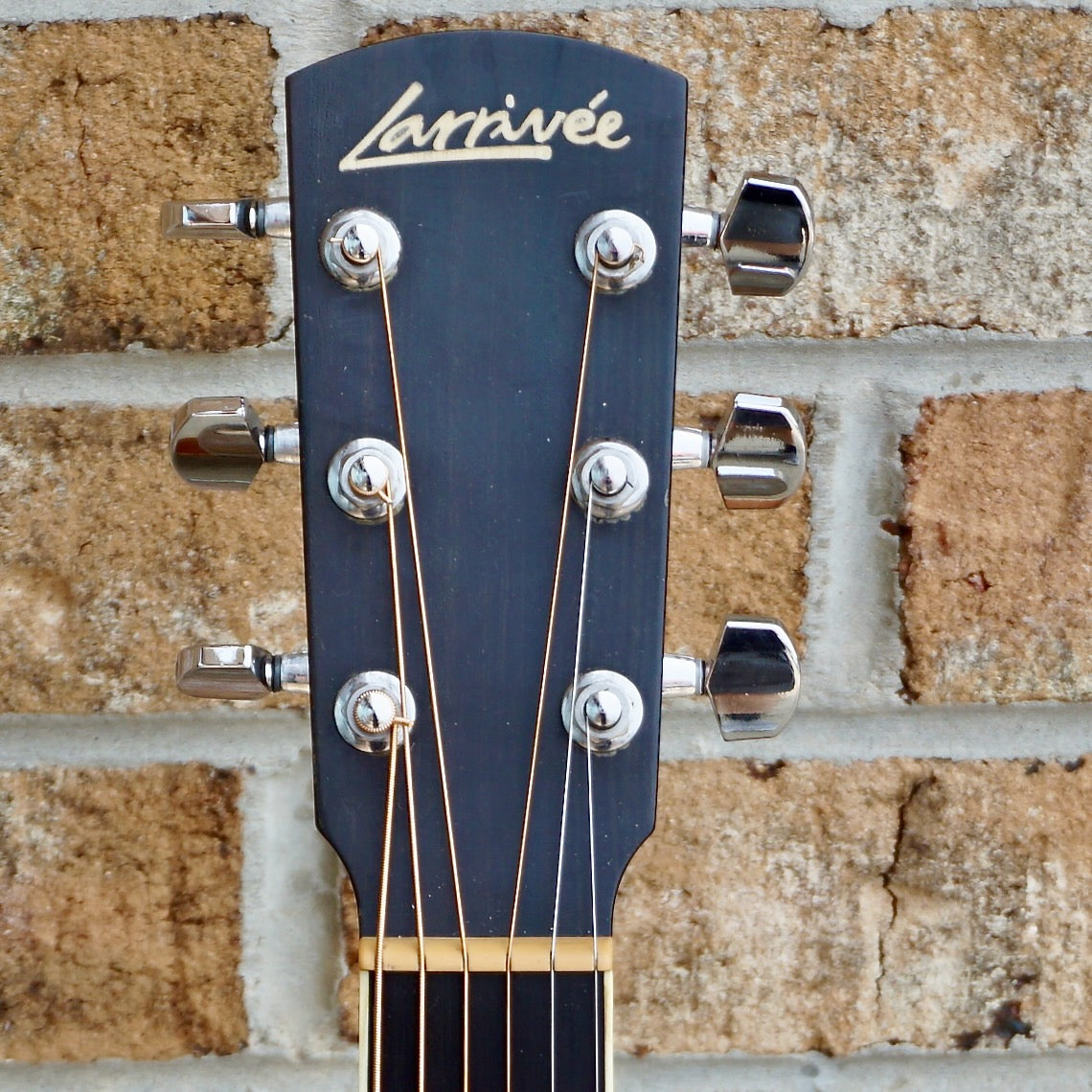 Larrivee LV-03 Recording Series