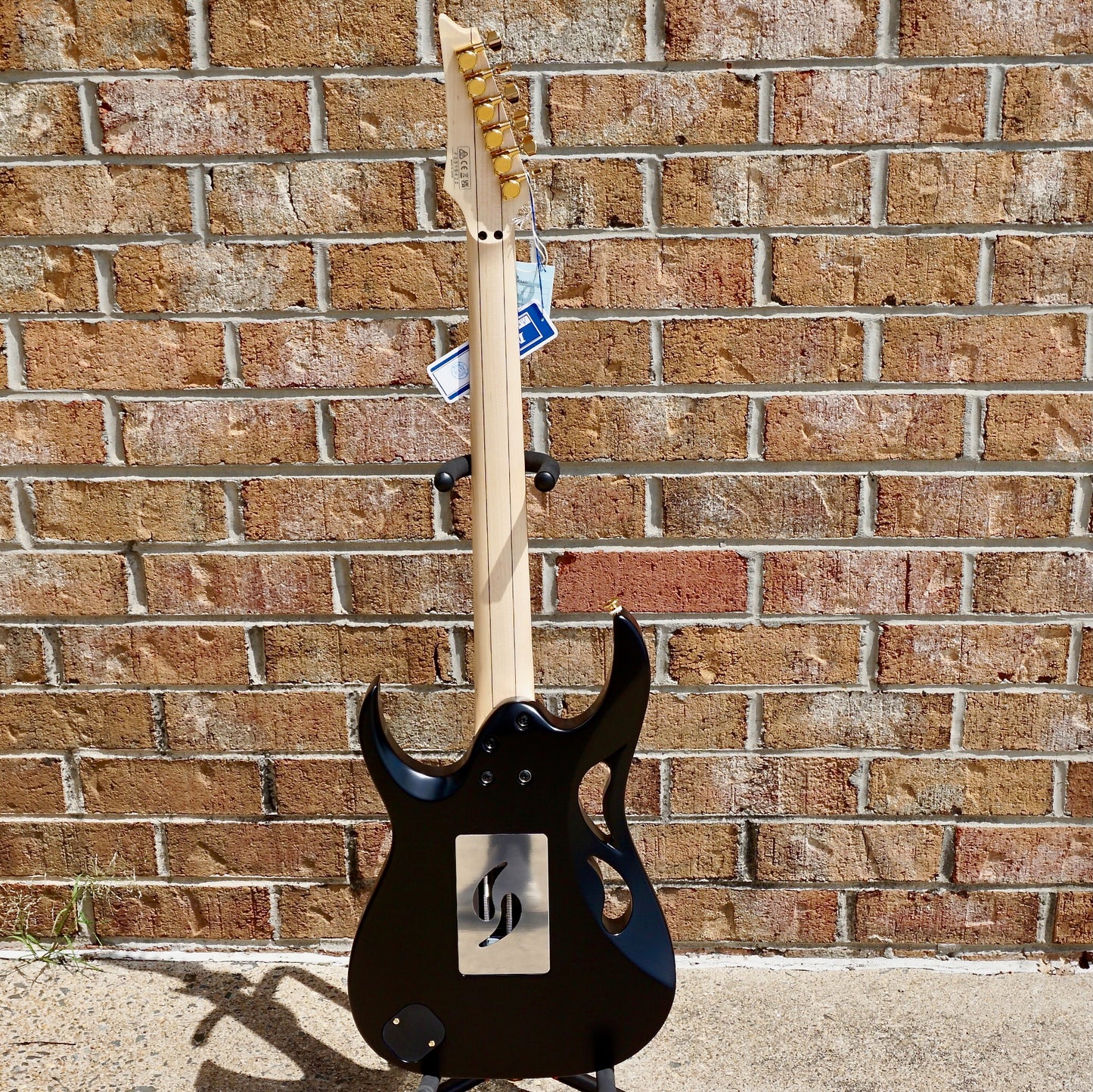 Ibanez PIA3761 Onyx Black