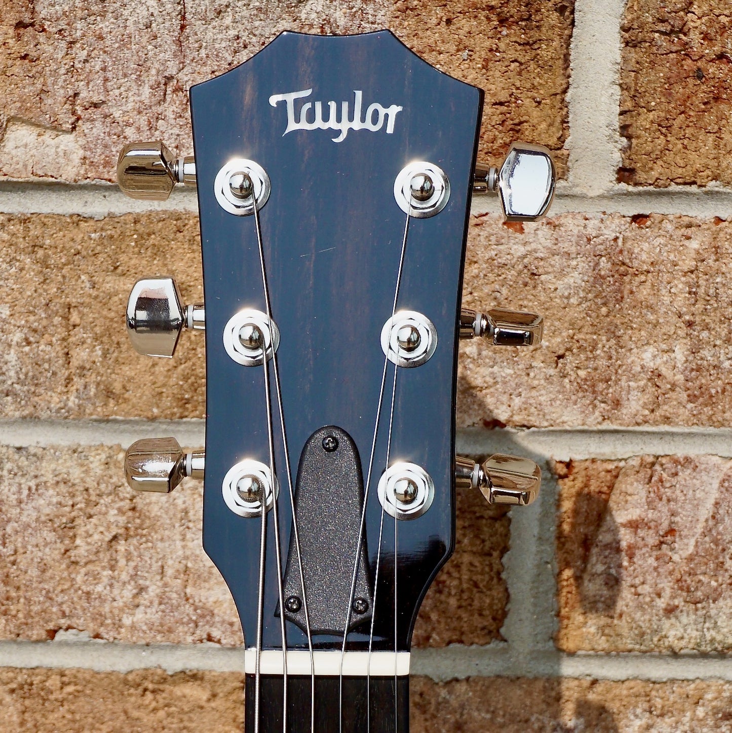 Taylor T5z Pro Tobacco Sunburst