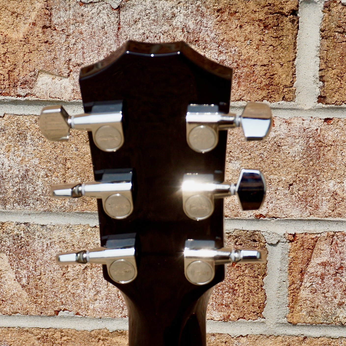 Taylor T5z Pro Tobacco Sunburst