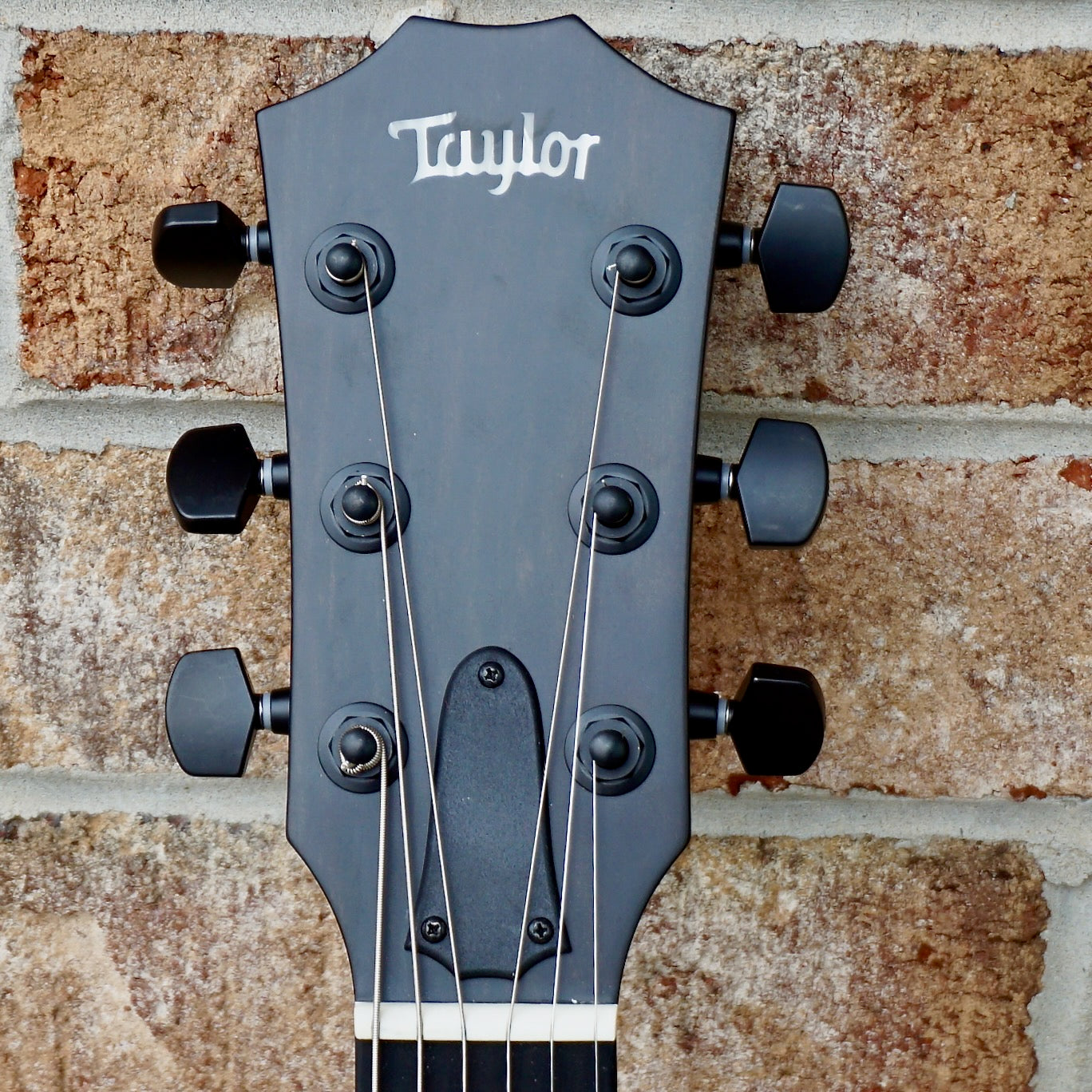 Taylor T5z Classic Koa