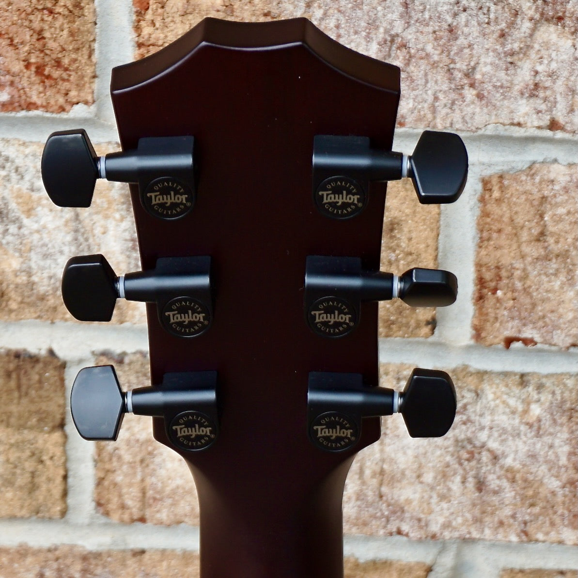 Taylor T5z Classic Koa