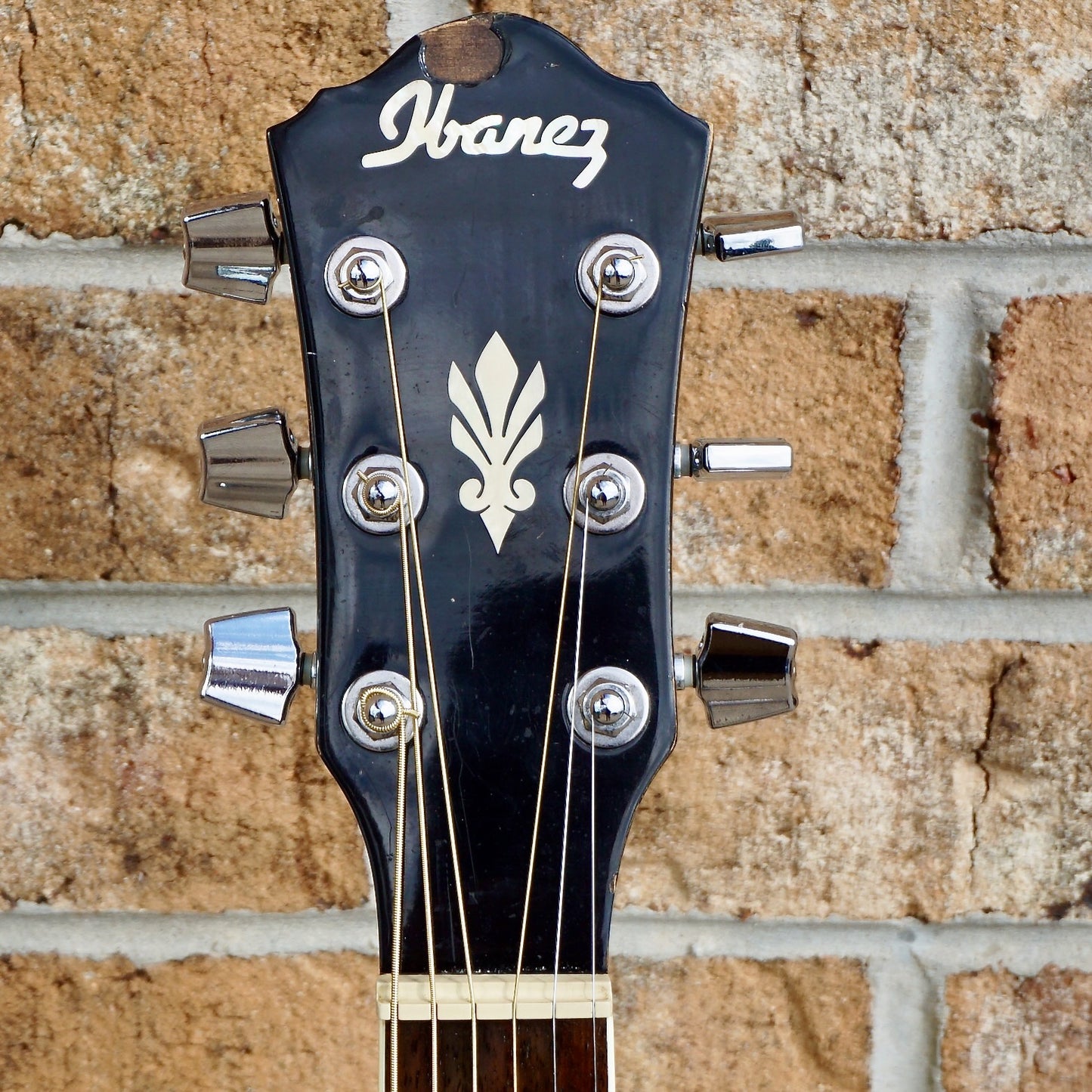 Ibanez AEG10E-BK-2Y-01
