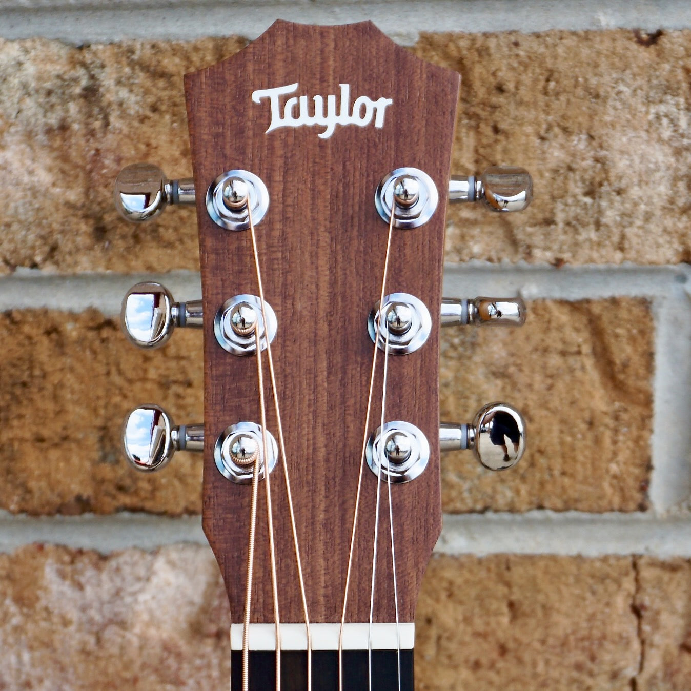 Taylor BT1