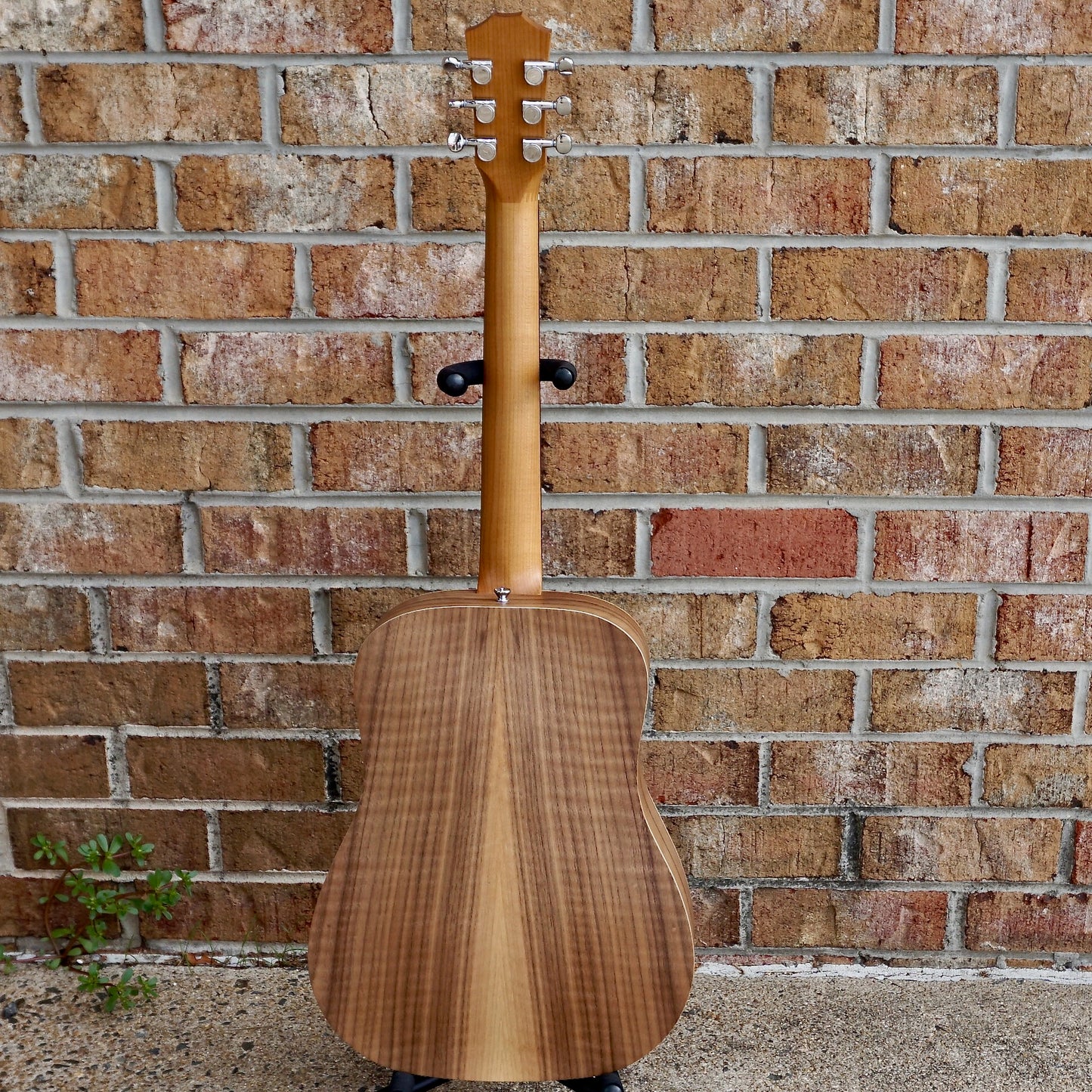 Taylor BT1