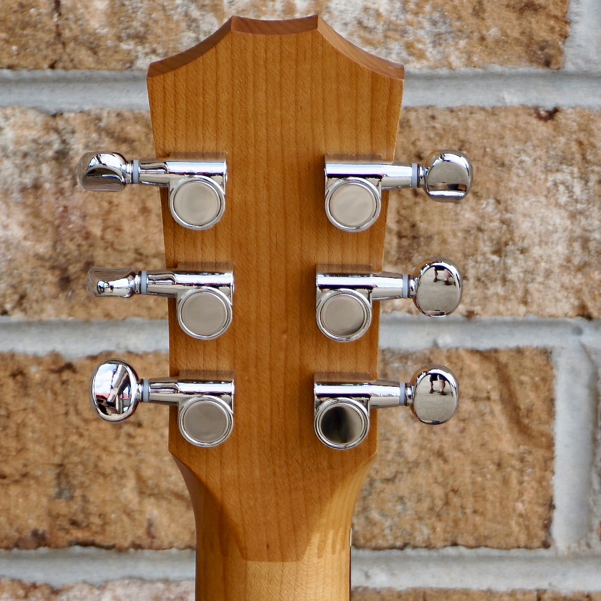 Taylor BT1