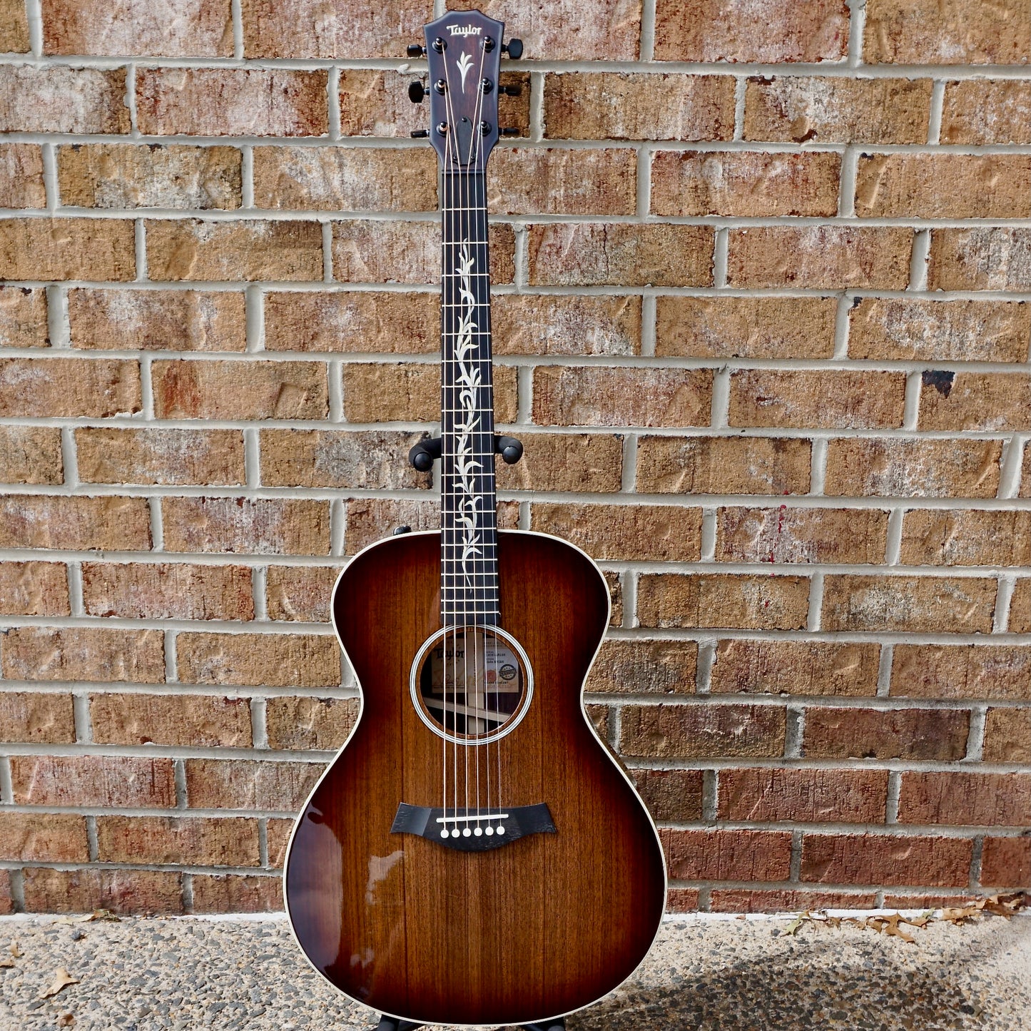 Taylor C22e B3025 #25// Circa 74 Amp