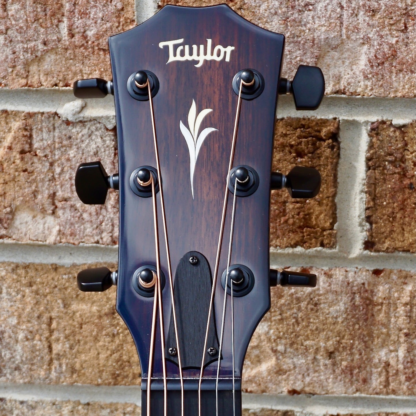 Taylor C22e B3025 #25// Circa 74 Amp