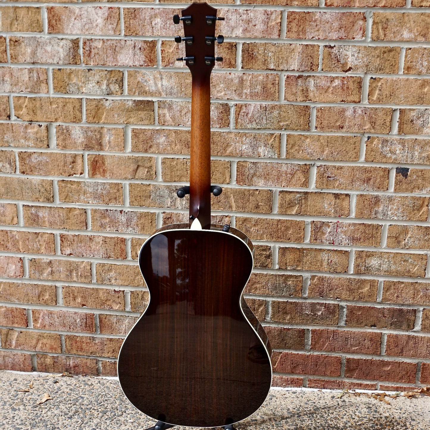 Taylor C22e B3025 #25// Circa 74 Amp