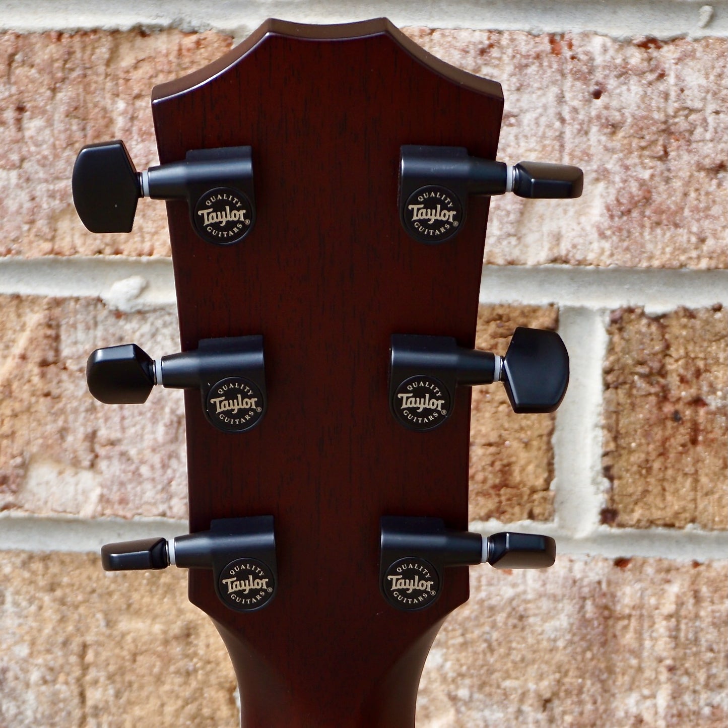 Taylor C22e B3025 #25// Circa 74 Amp