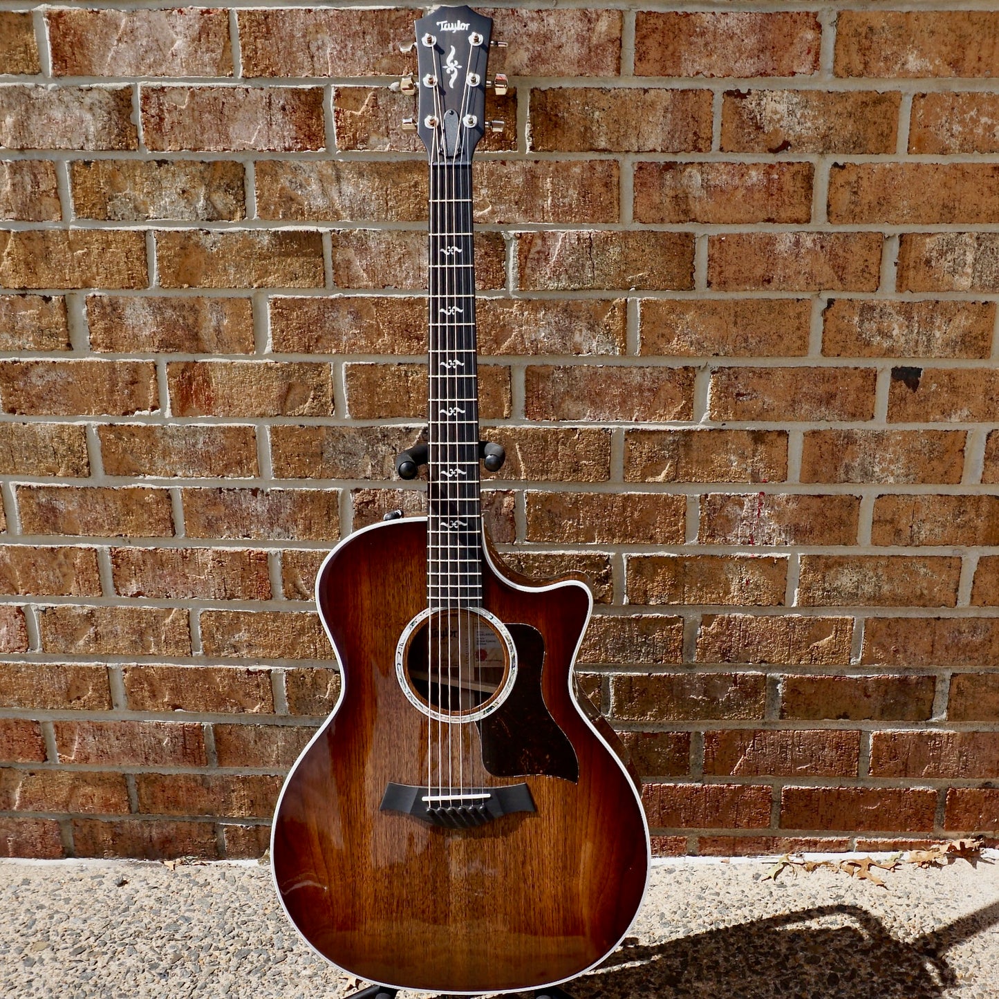 Taylor 424ce Special Edition Walnut/Walnut