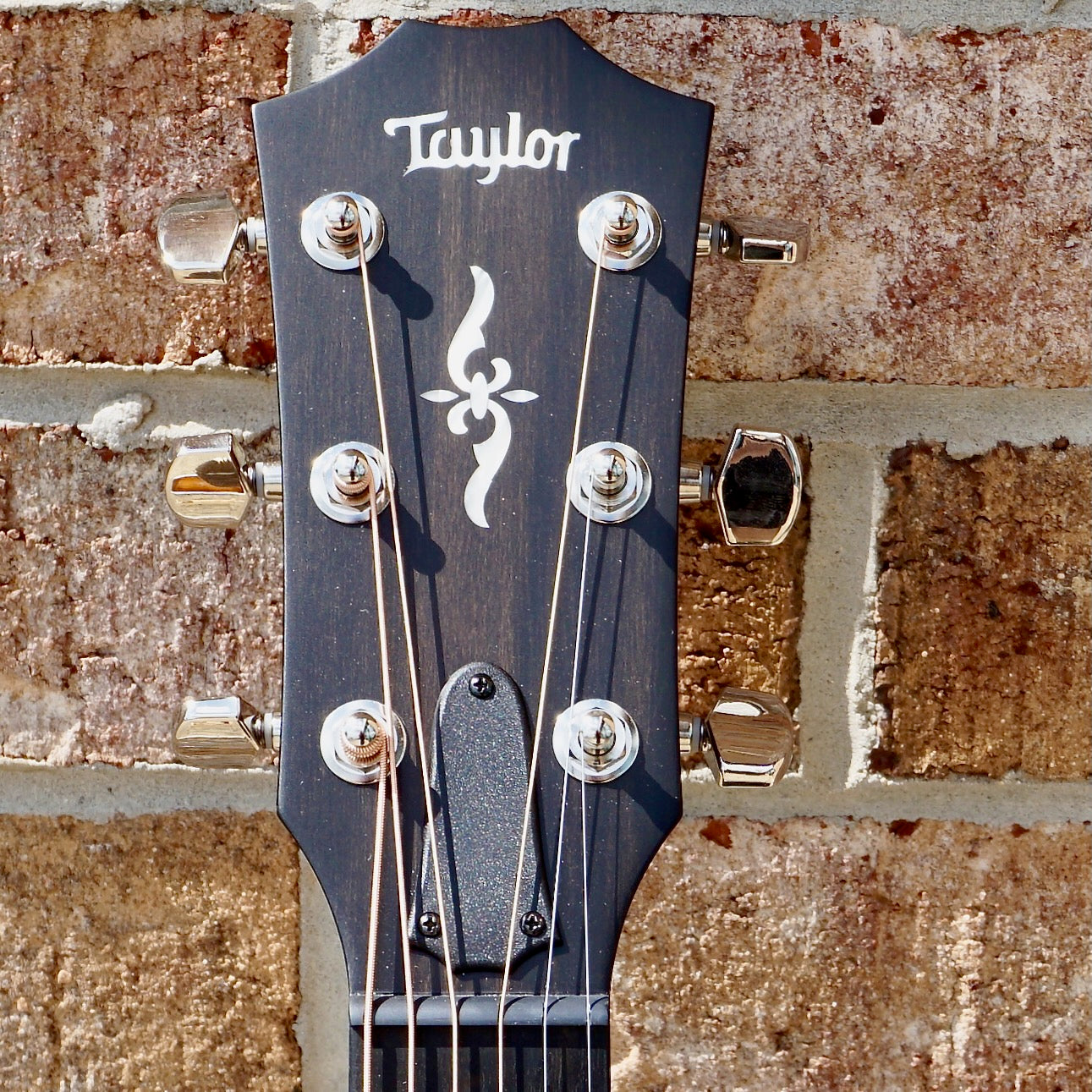 Taylor 424ce Special Edition Walnut/Walnut