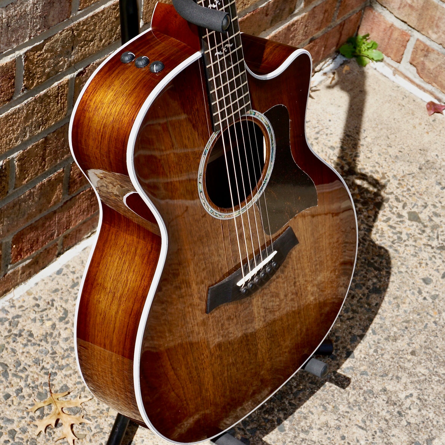 Taylor 424ce Special Edition Walnut/Walnut