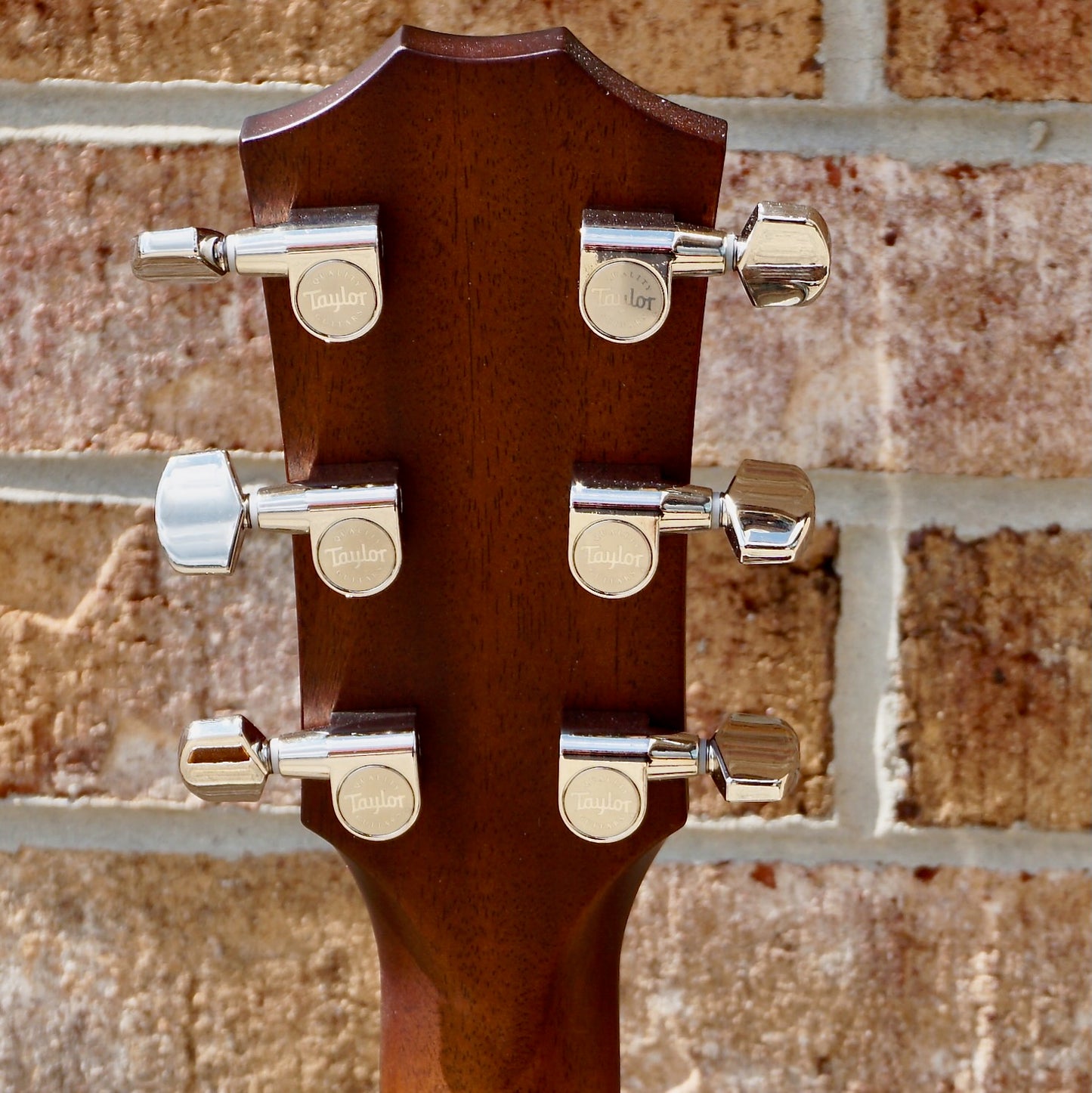 Taylor 424ce Special Edition Walnut/Walnut