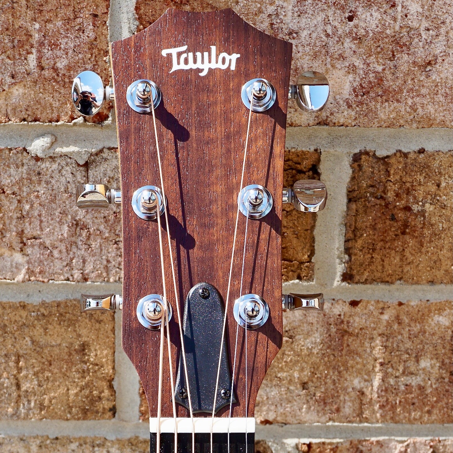 Taylor BBTe