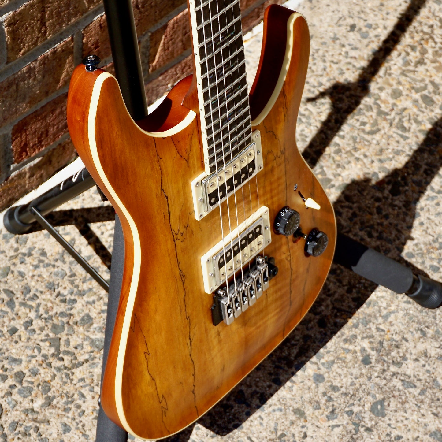 Schecter C-1 Exotic