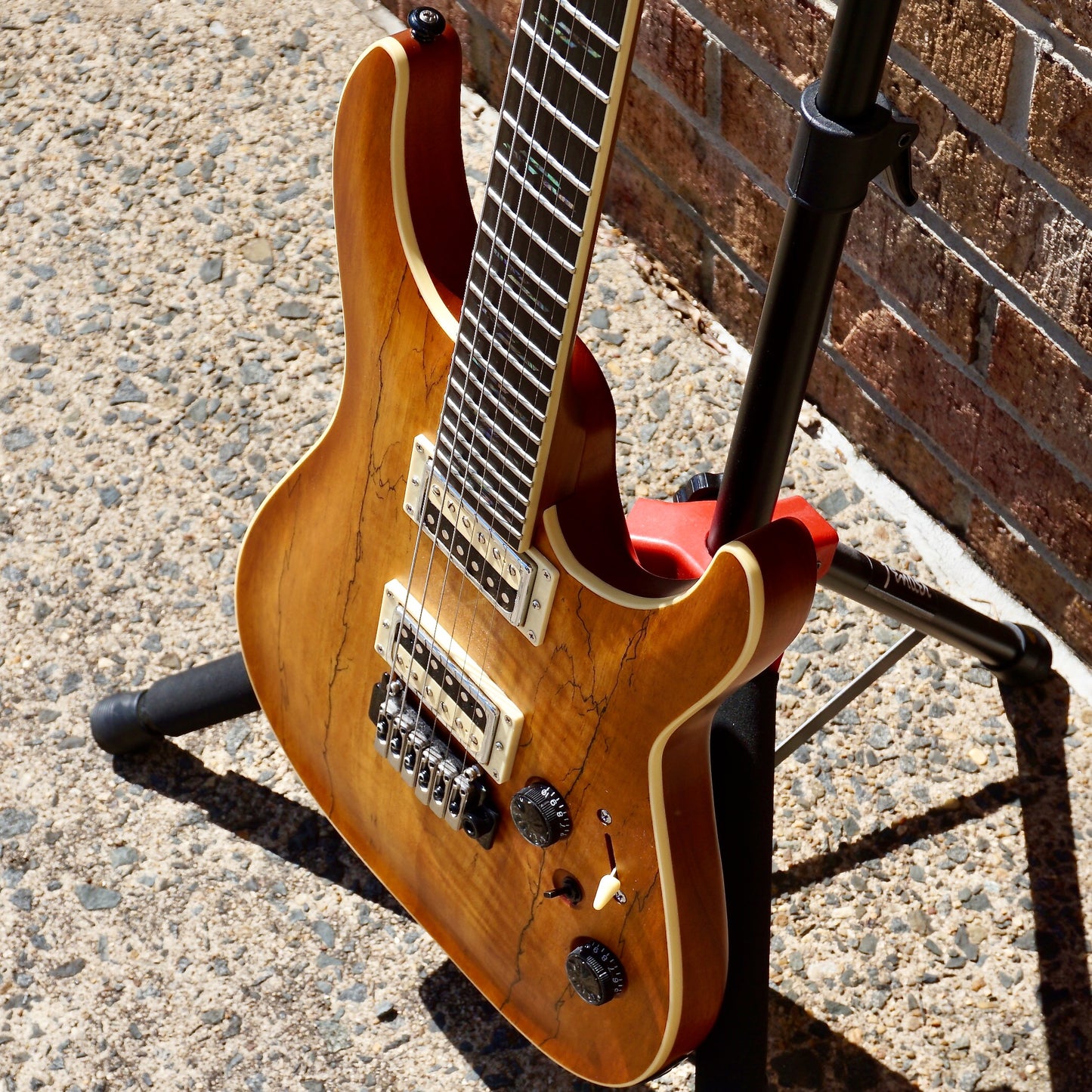Schecter C-1 Exotic