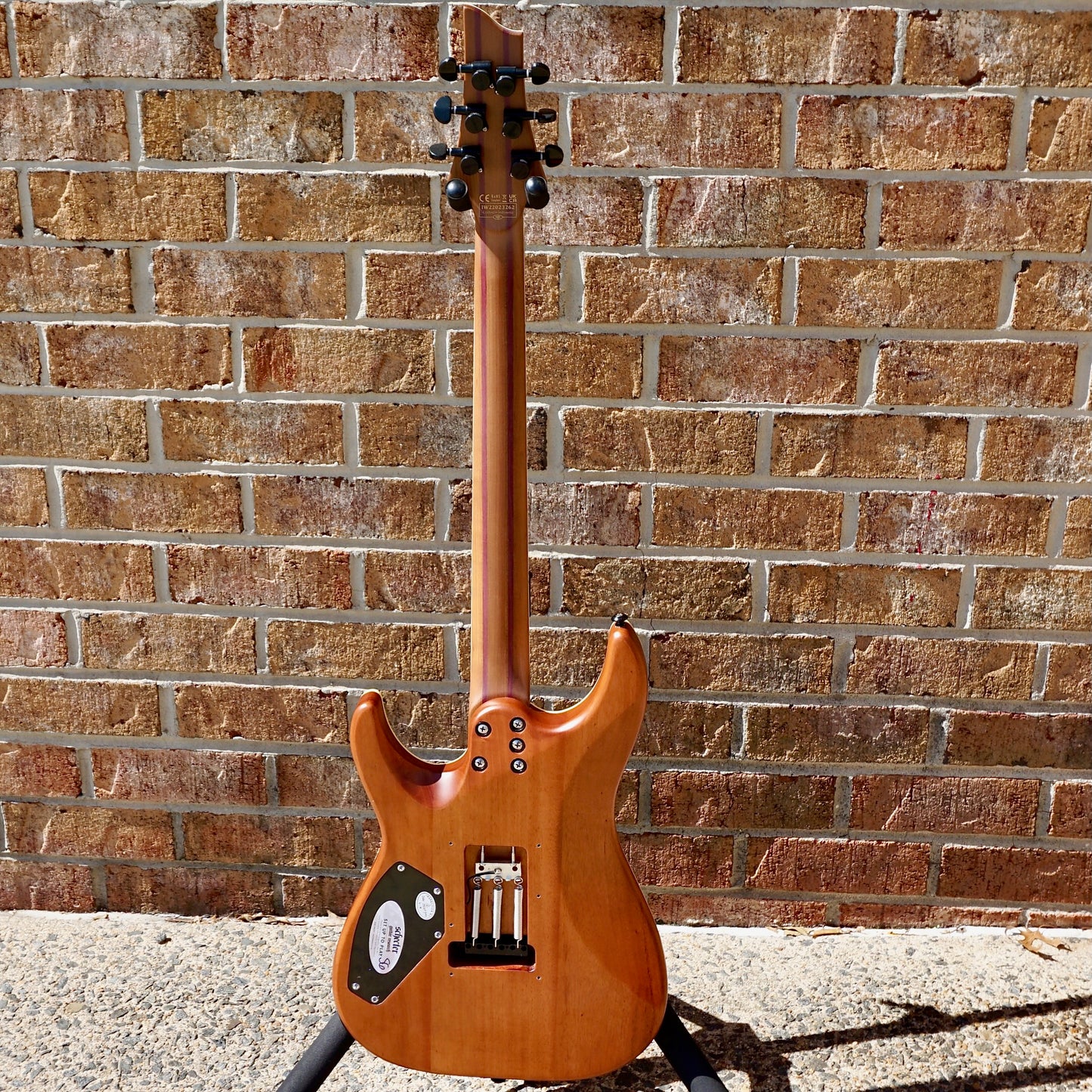 Schecter C-1 Exotic