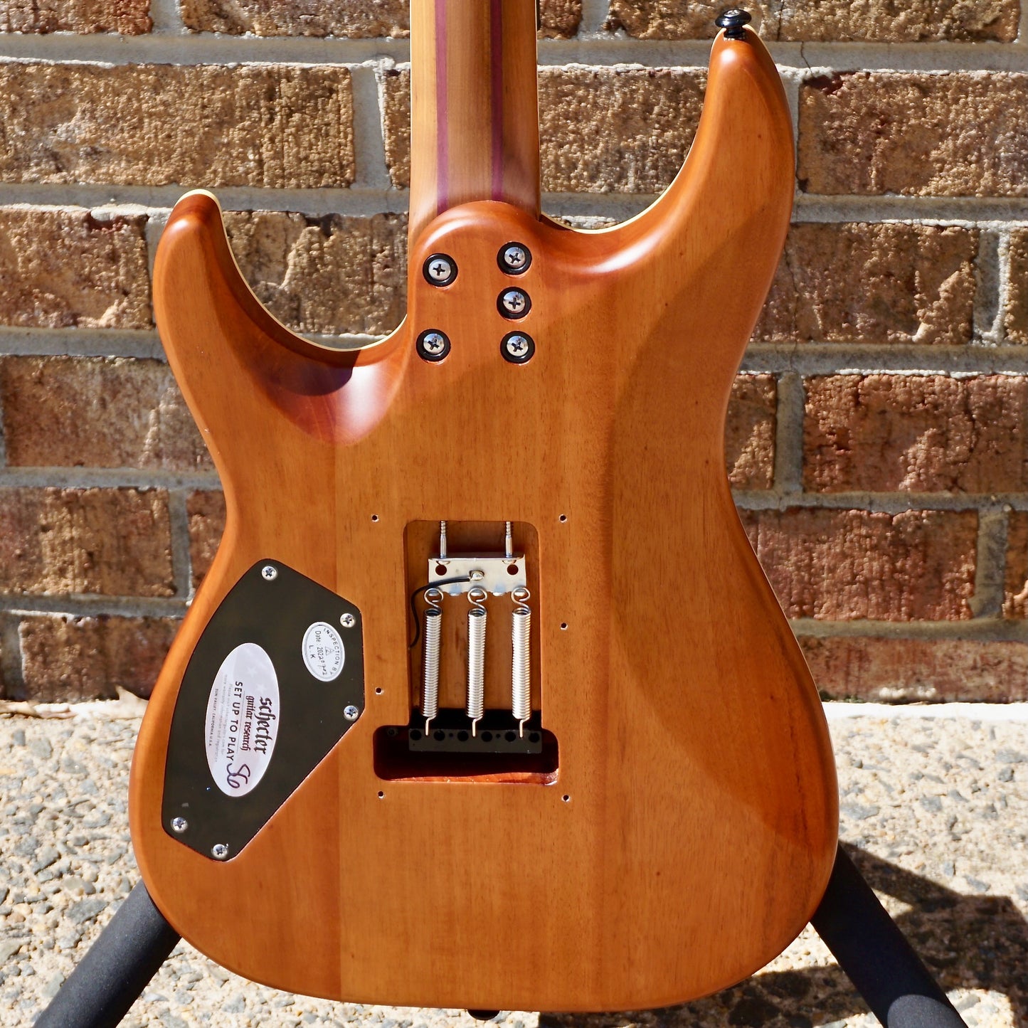 Schecter C-1 Exotic
