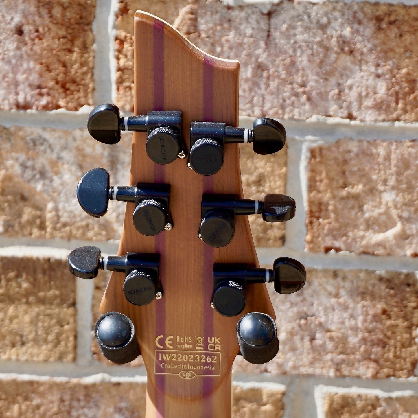 Schecter C-1 Exotic