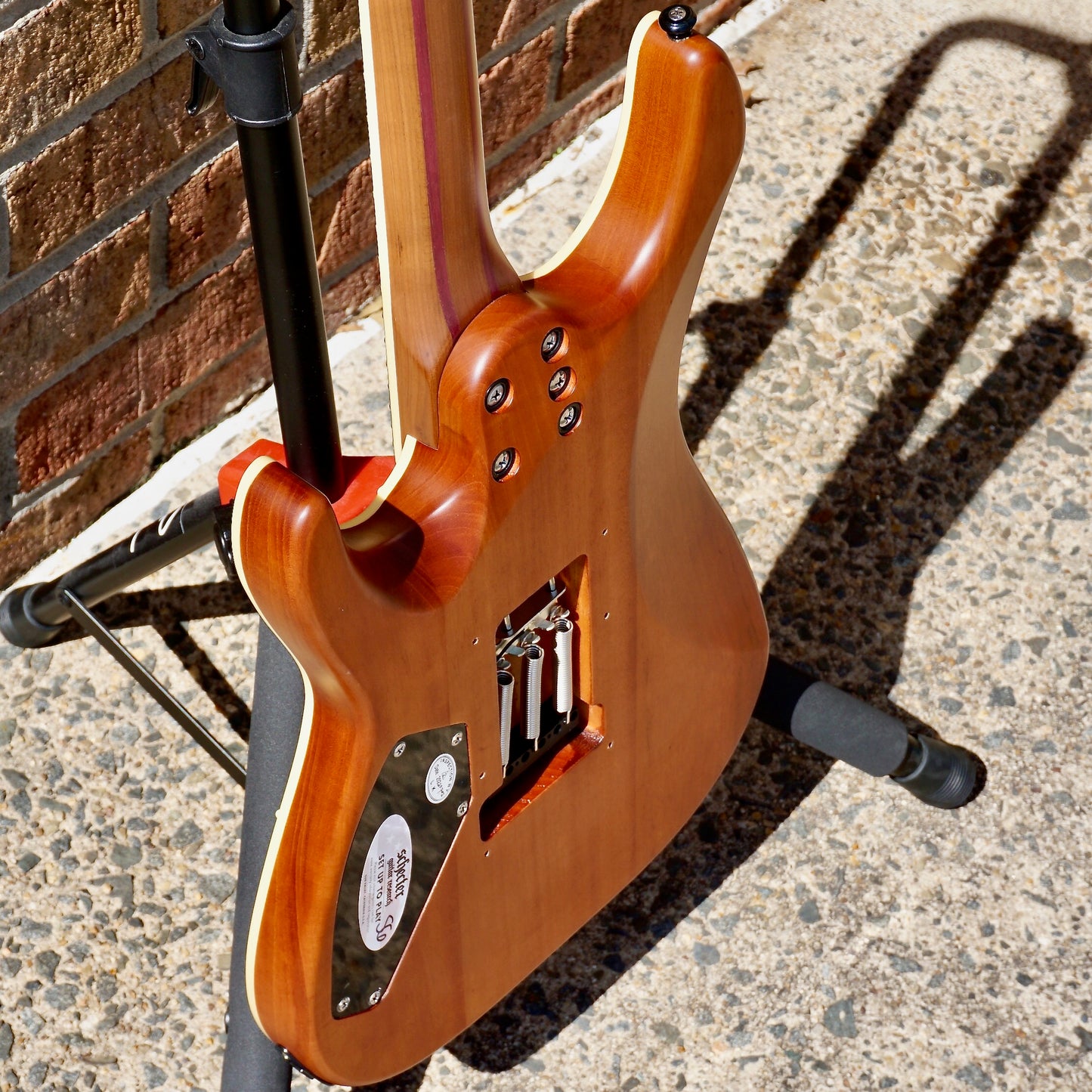 Schecter C-1 Exotic