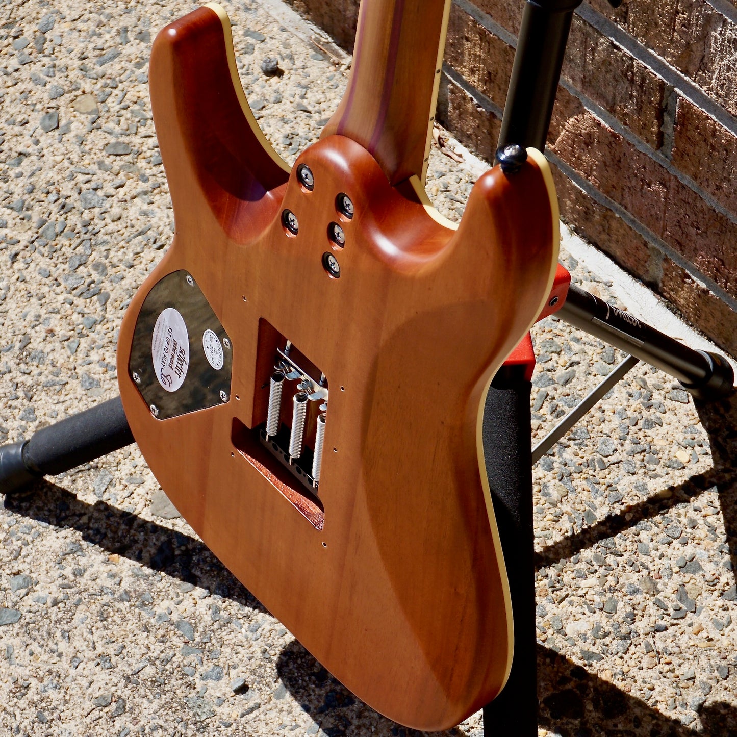 Schecter C-1 Exotic