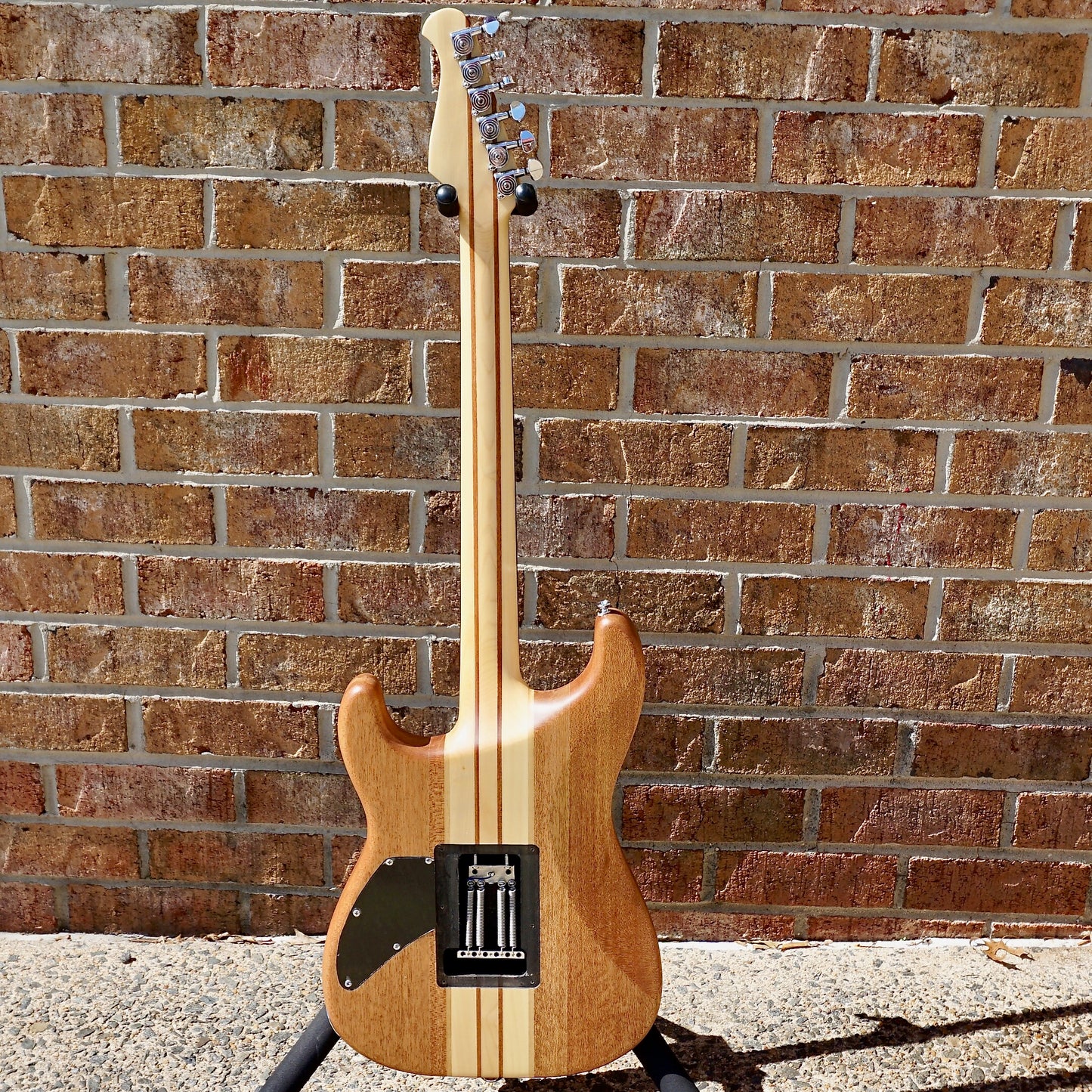 Aio Guitars S2SSH Walnut