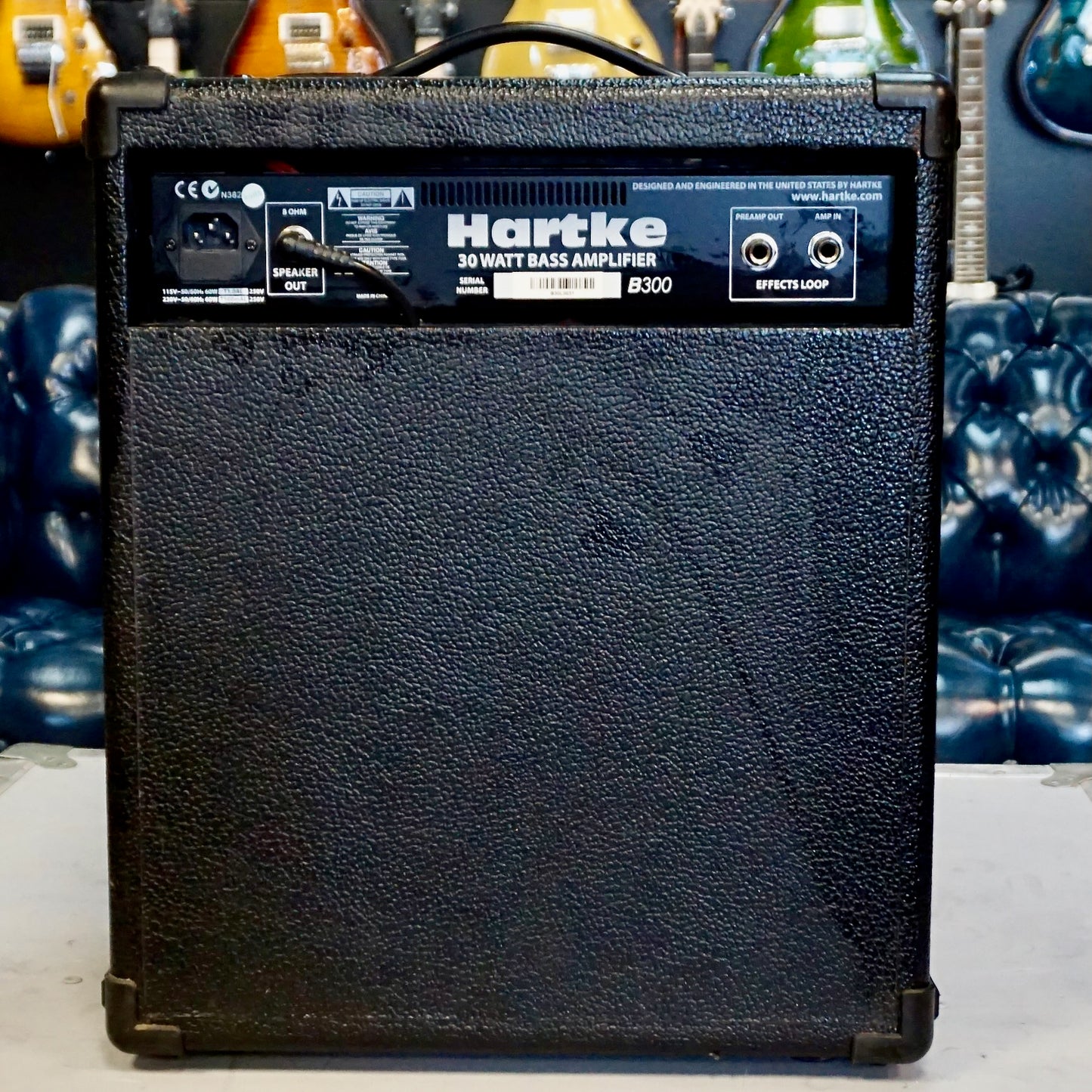 Hartke B300