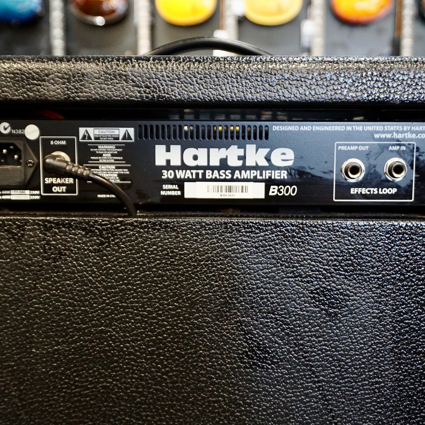 Hartke B300