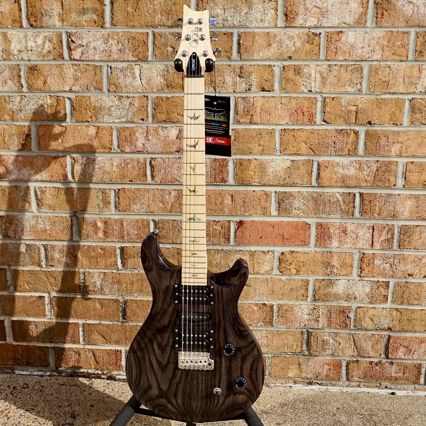 PRS SE Swamp Ash Special Charcoal