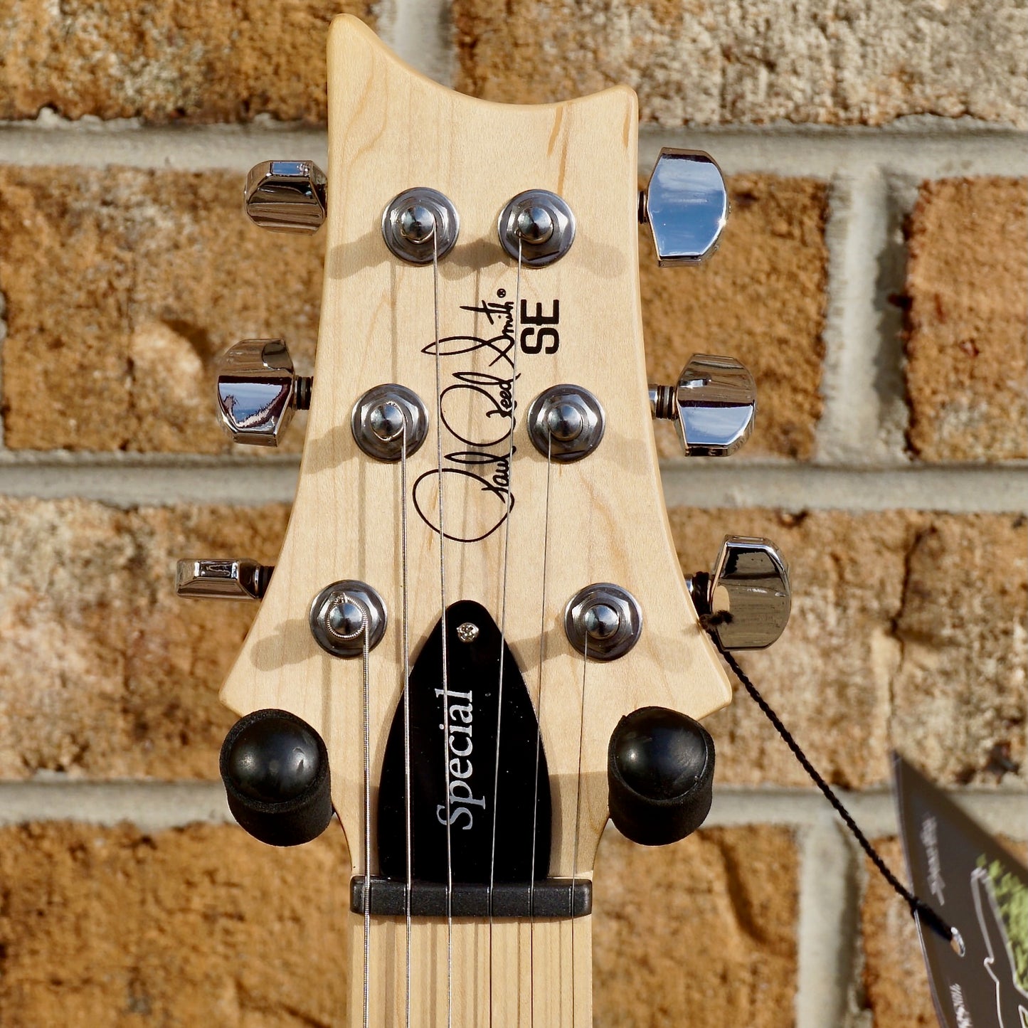 PRS SE Swamp Ash Special Charcoal