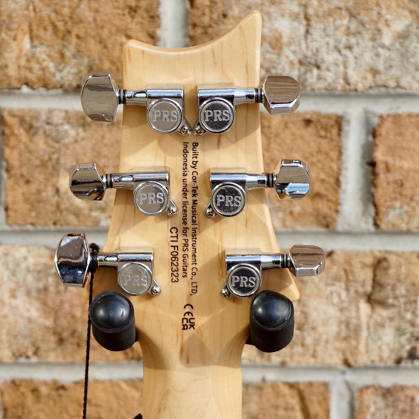 PRS SE Swamp Ash Special Charcoal