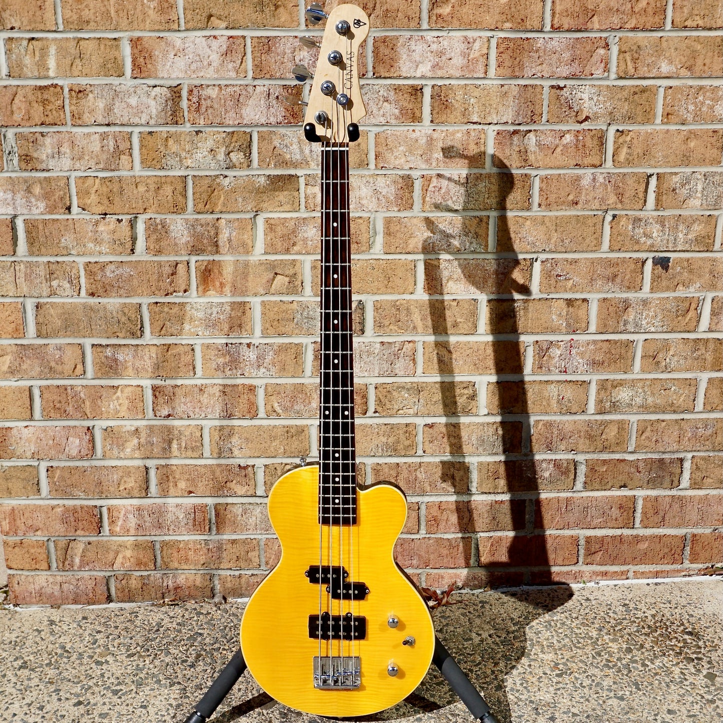 Canvas Yellow Bass w/ Hipshot XTender