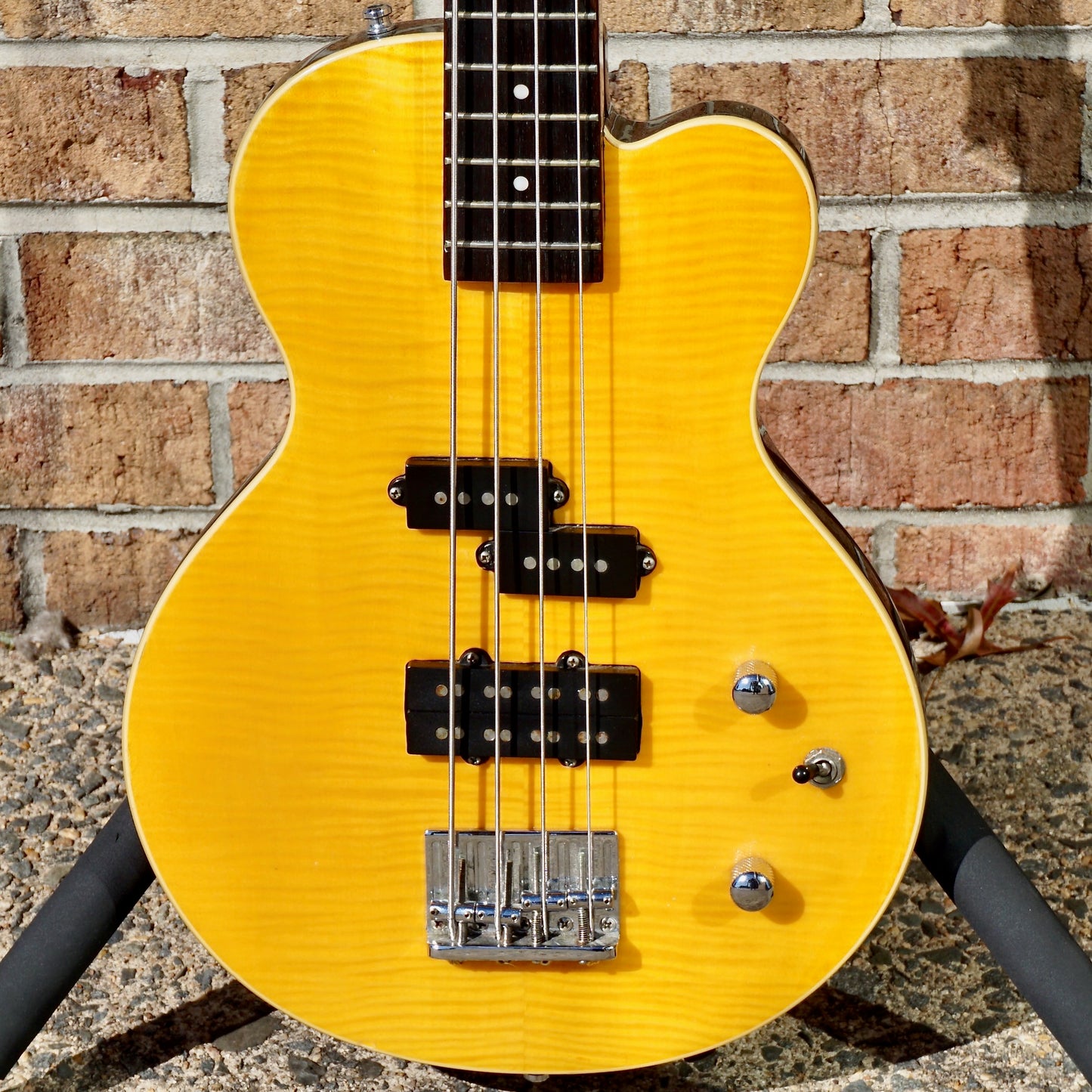 Canvas Yellow Bass w/ Hipshot XTender