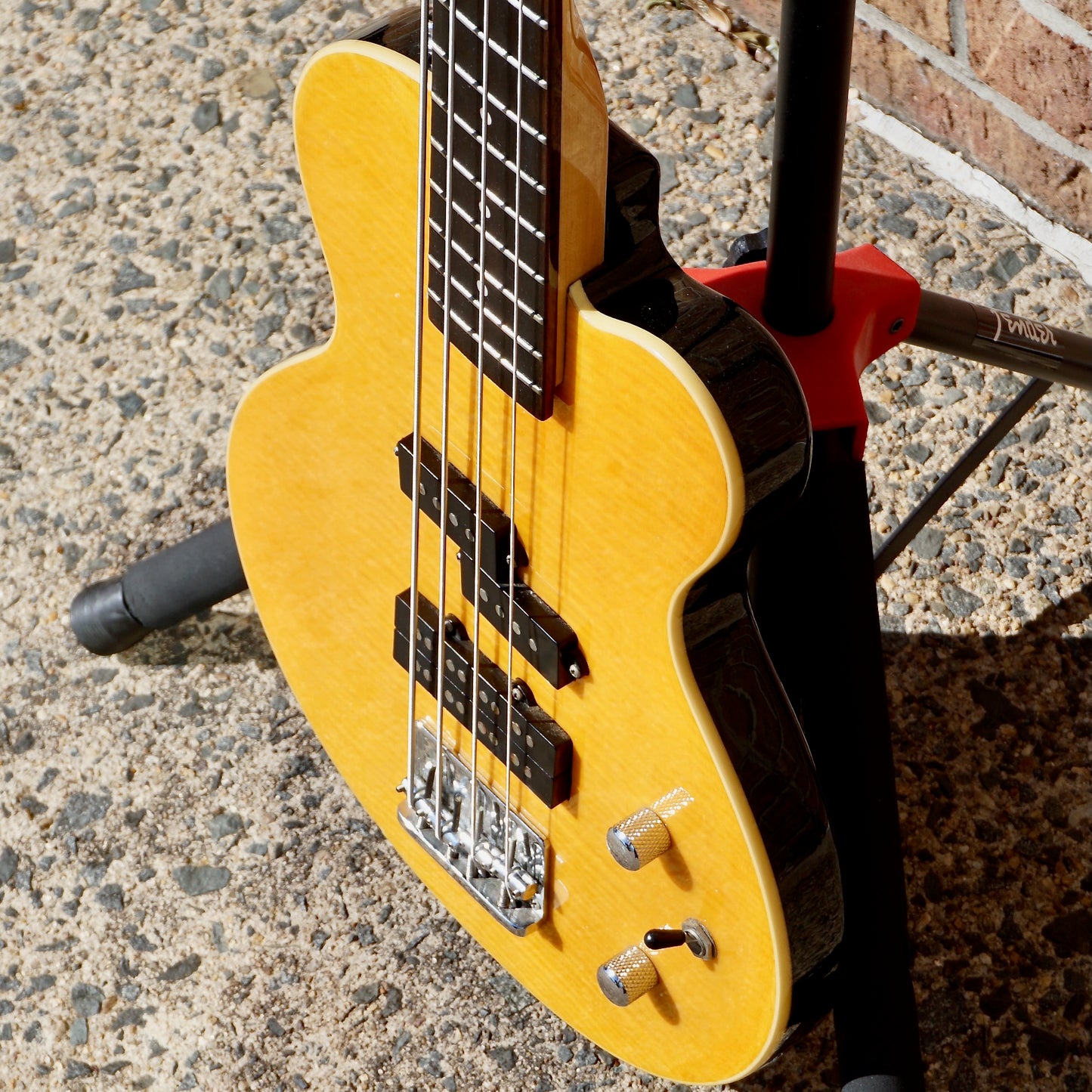 Canvas Yellow Bass w/ Hipshot XTender