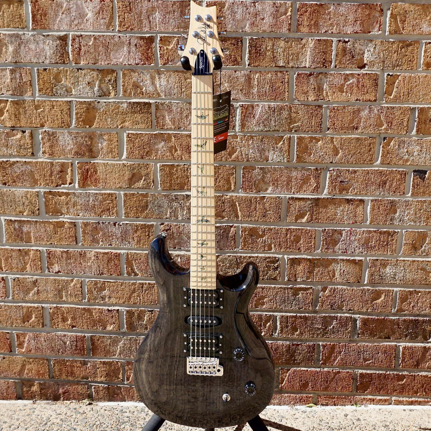 PRS SE Swamp Ash Special Charcoal