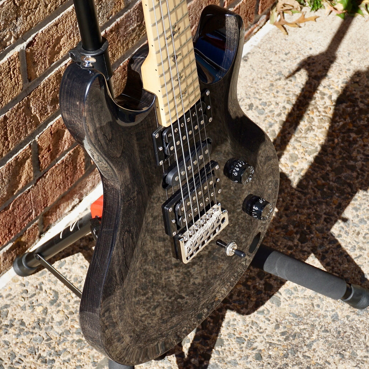 PRS SE Swamp Ash Special Charcoal