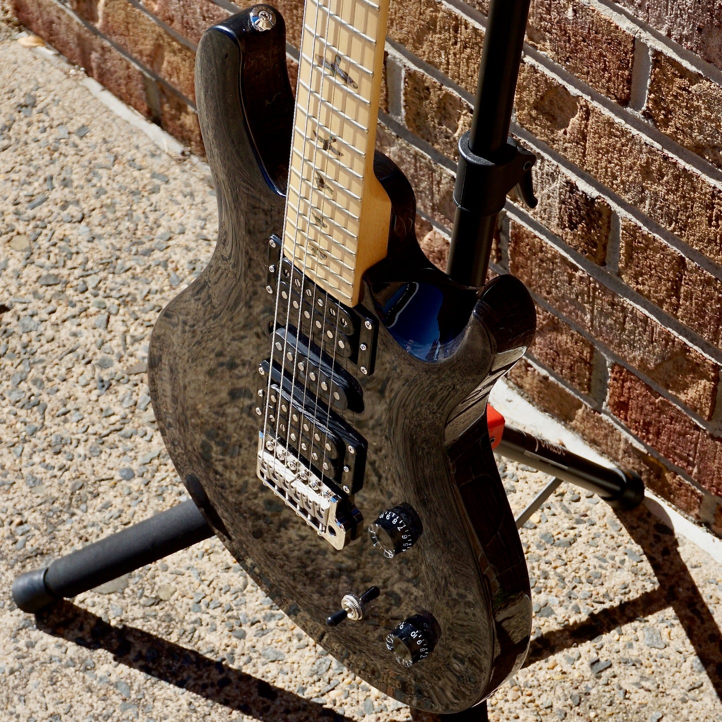 PRS SE Swamp Ash Special Charcoal