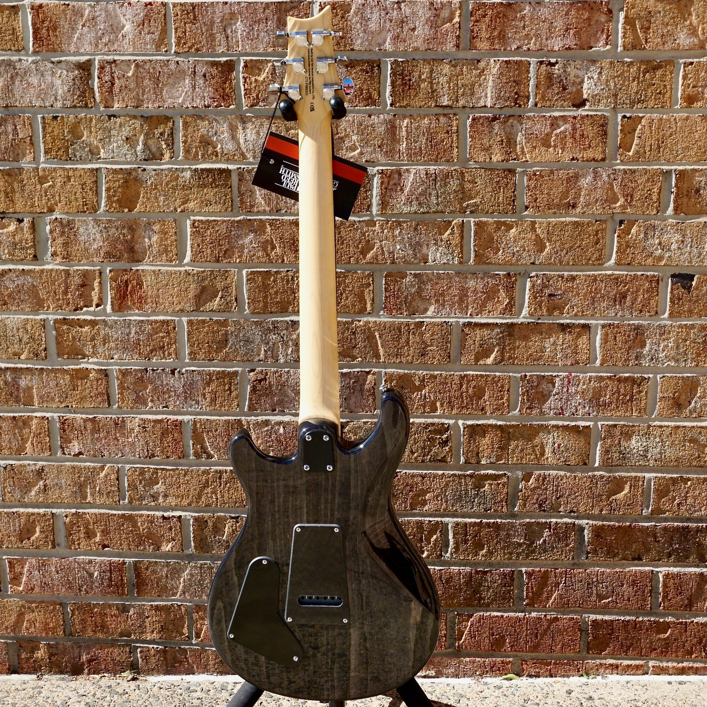 PRS SE Swamp Ash Special Charcoal