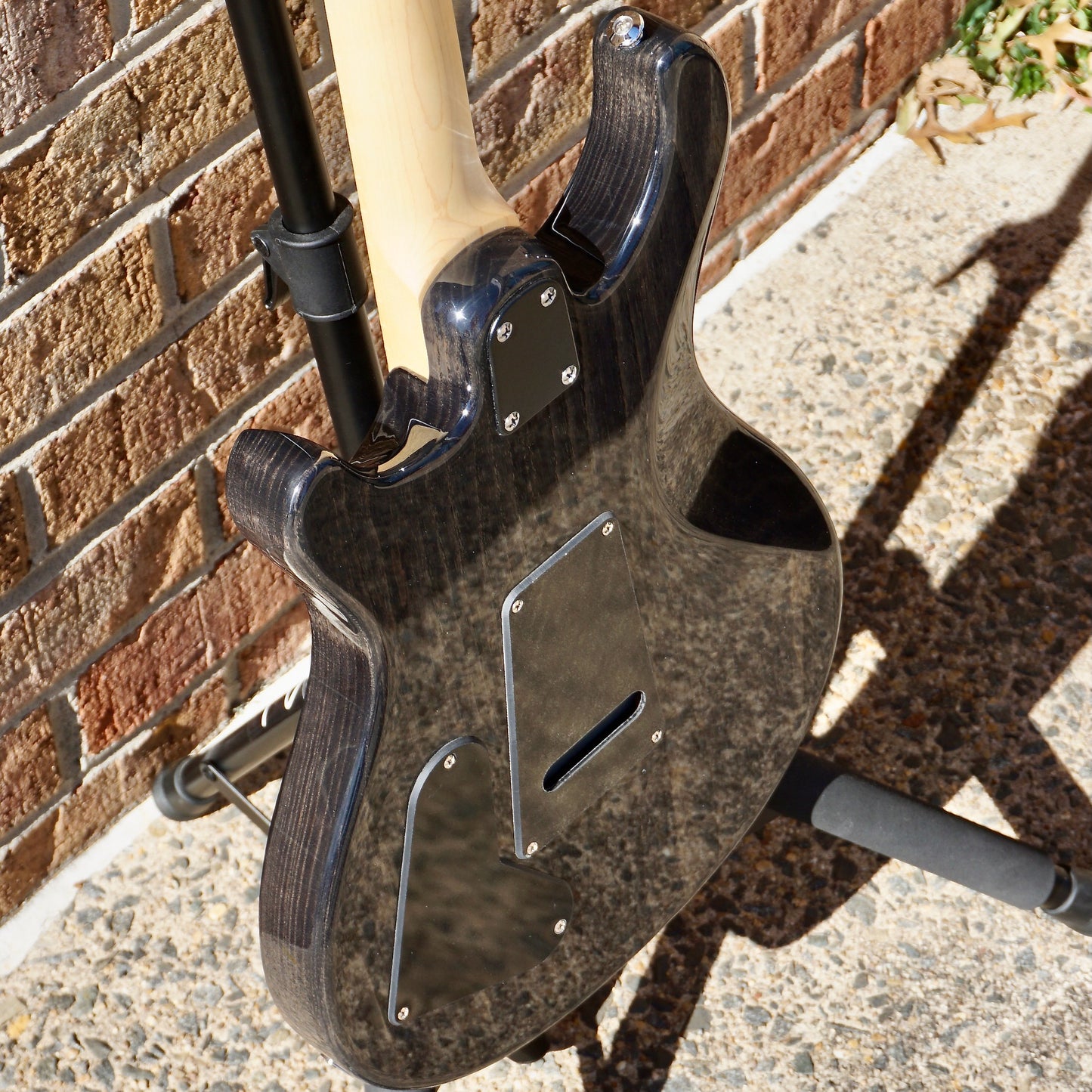 PRS SE Swamp Ash Special Charcoal