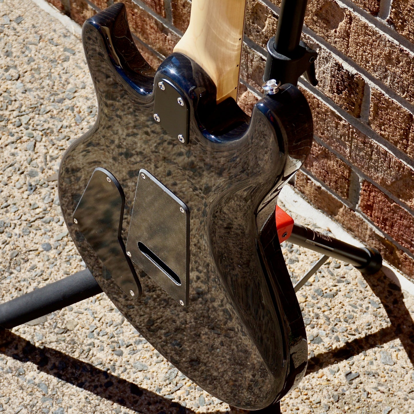 PRS SE Swamp Ash Special Charcoal
