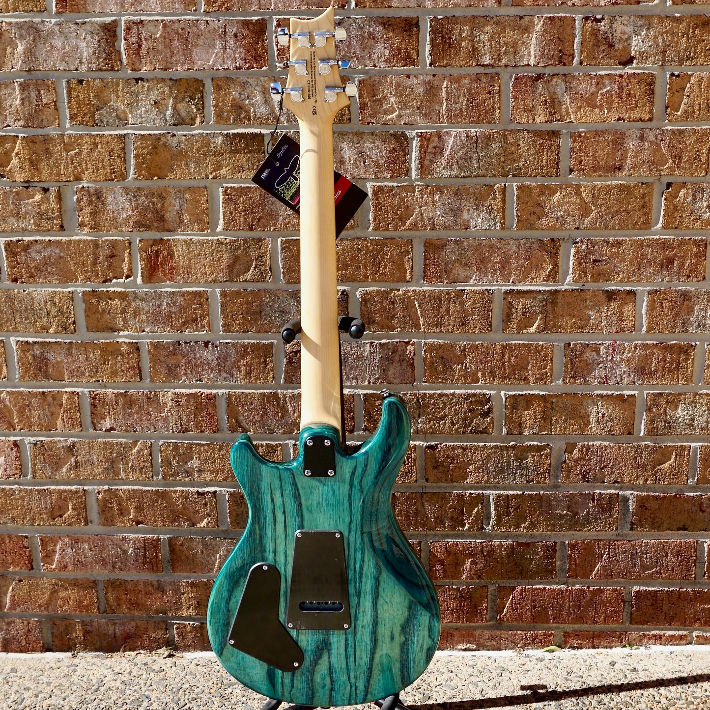 PRS SE Swamp Ash Special Iri Blue