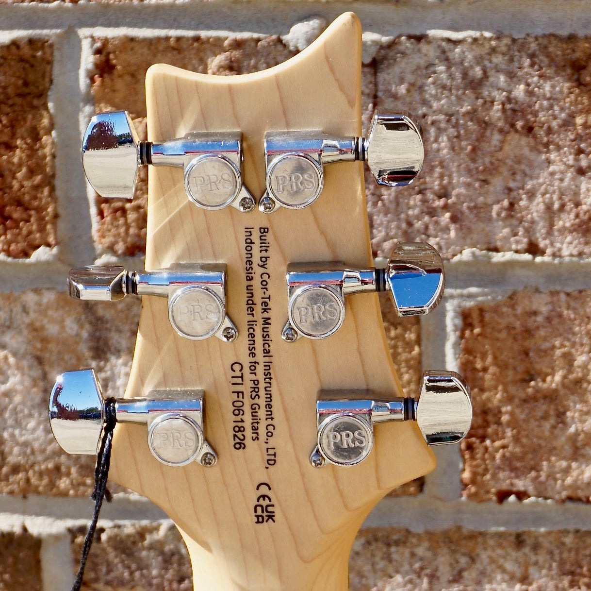 PRS SE Swamp Ash Special Iri Blue