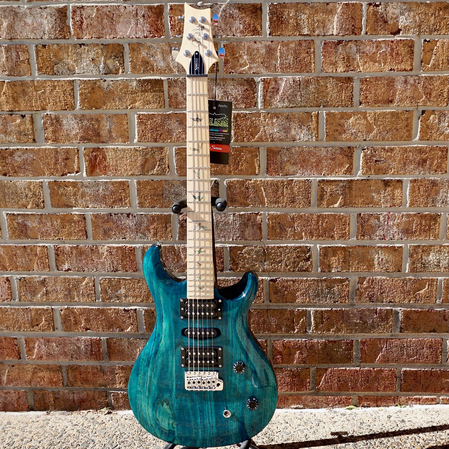 PRS SE Swamp Ash Special Iri Blue